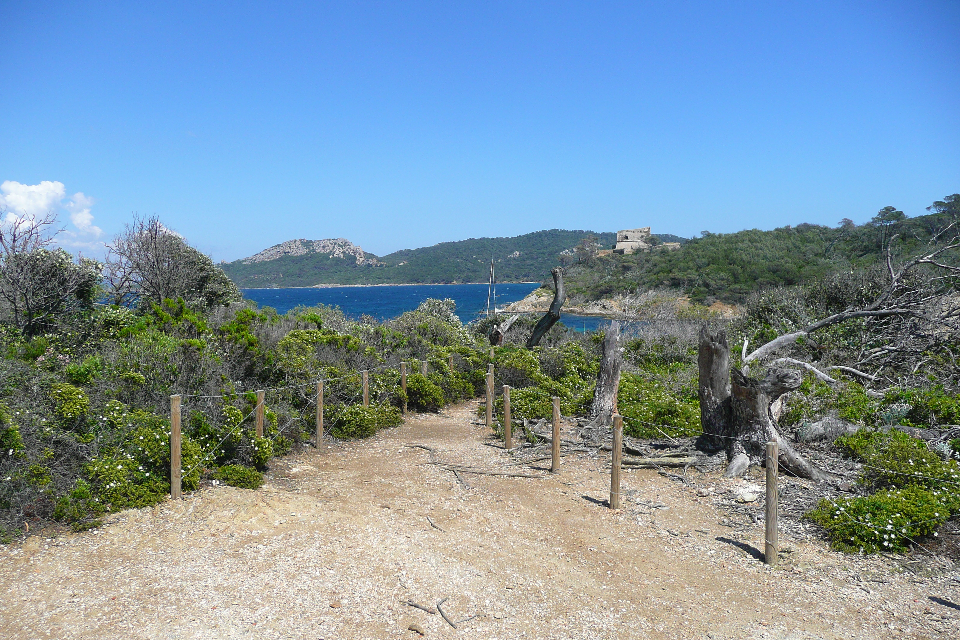 Picture France Porquerolles Island Pointe du Lequin 2008-05 37 - Discovery Pointe du Lequin