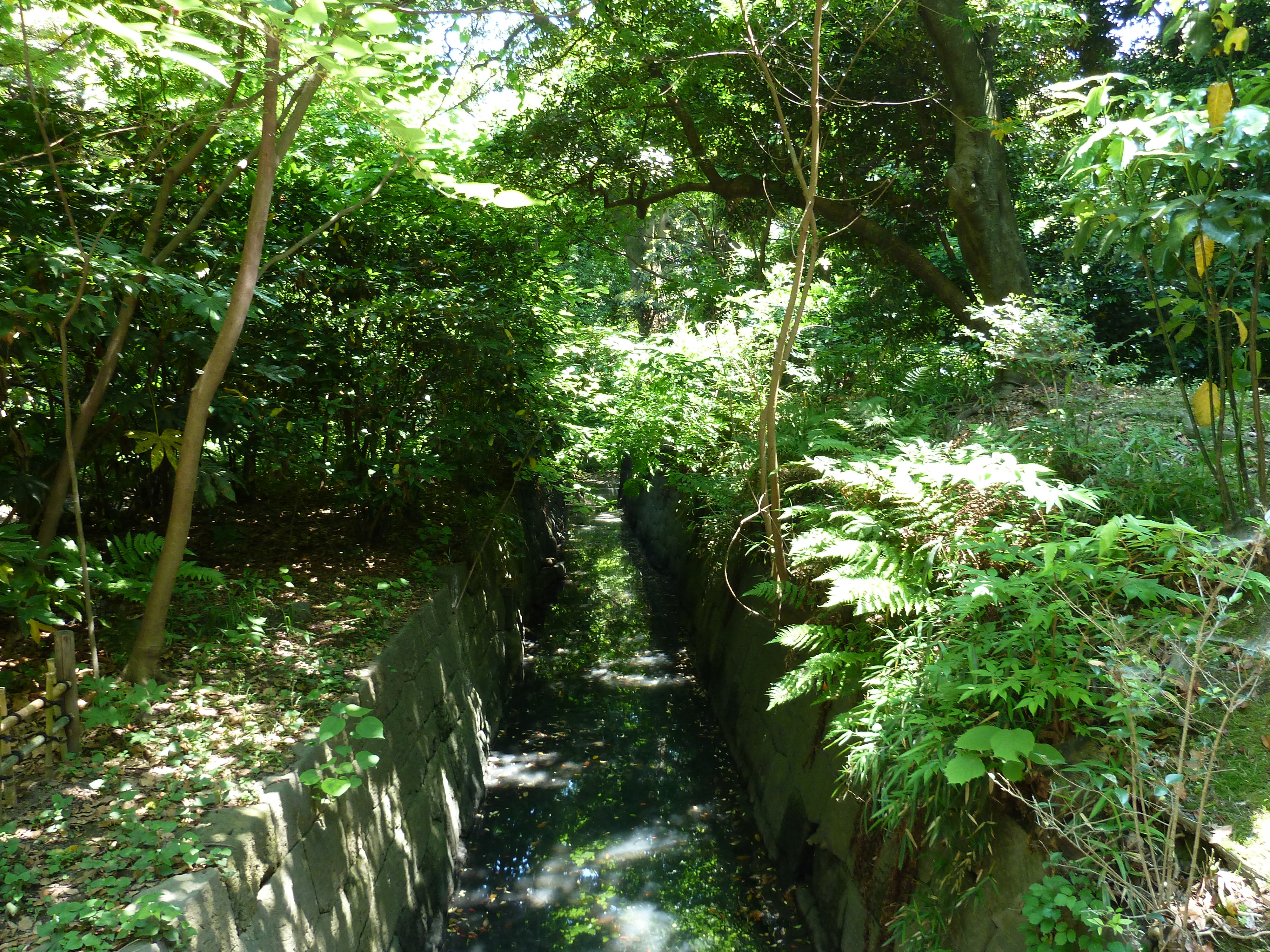 Picture Japan Tokyo Hama rikyu Gardens 2010-06 37 - Journey Hama rikyu Gardens