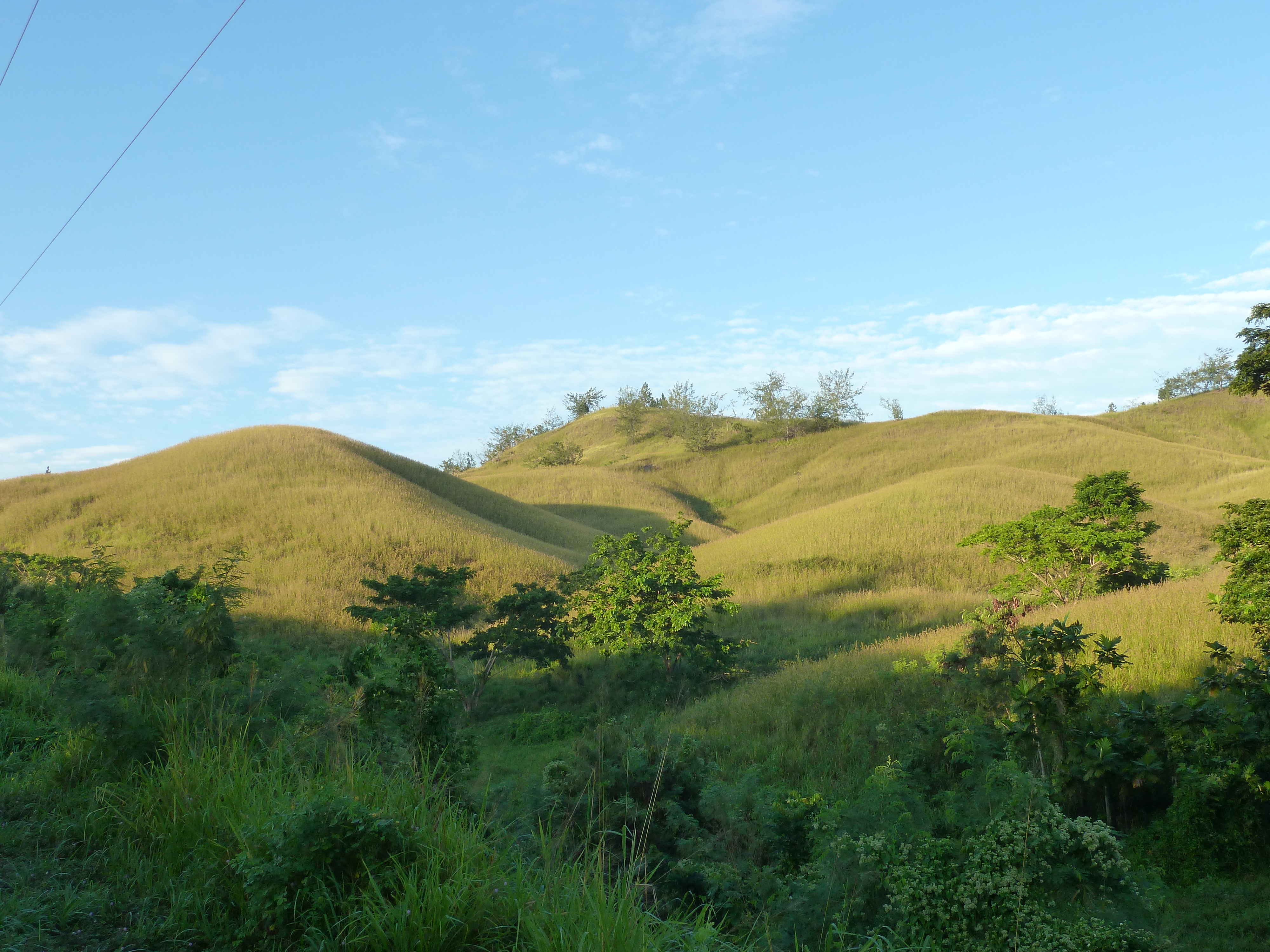 Picture Fiji Nadi to Sigatoka road 2010-05 9 - Around Nadi to Sigatoka road