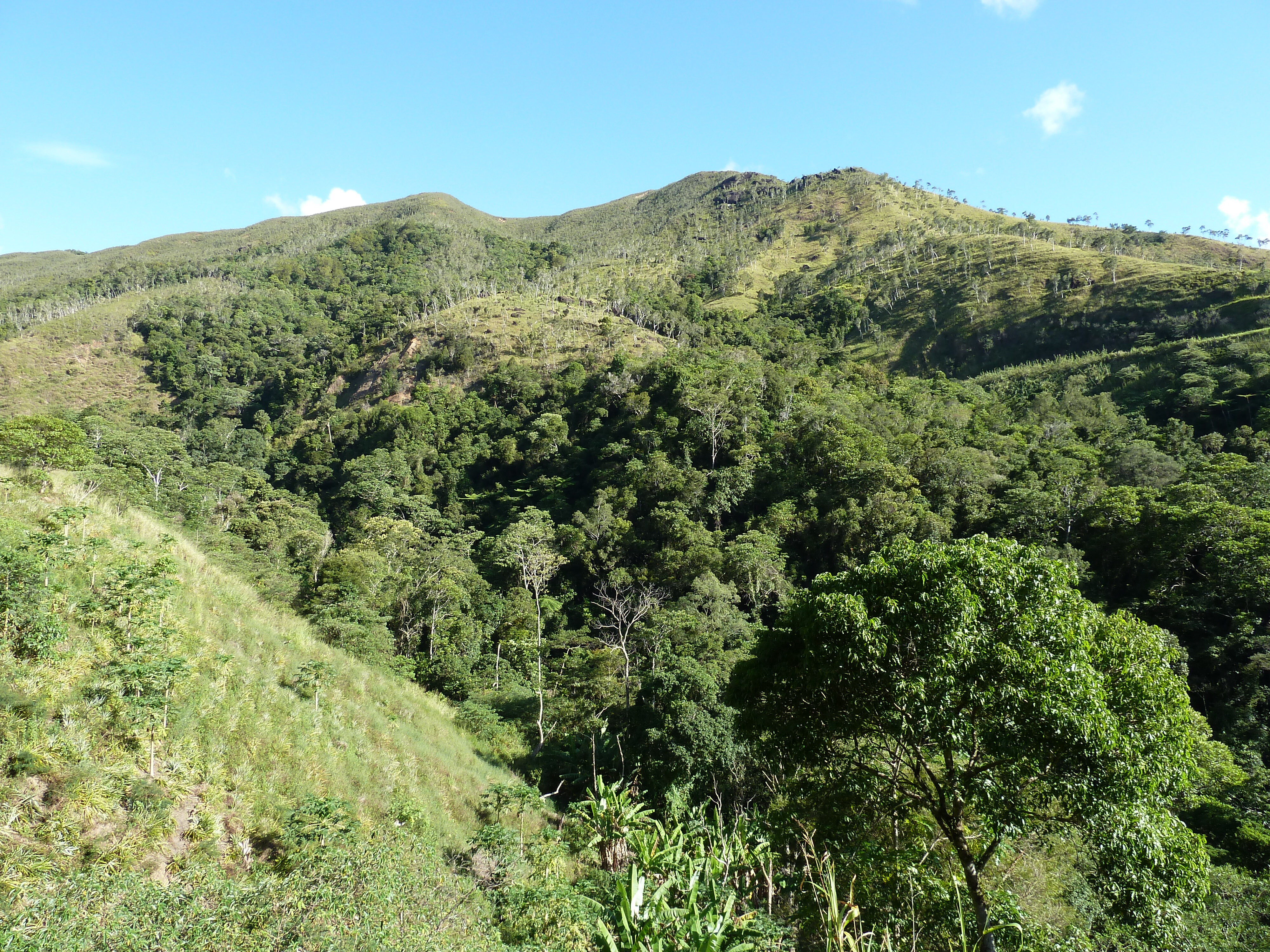 Picture New Caledonia Canala to La Foa road 2010-05 11 - Around Canala to La Foa road