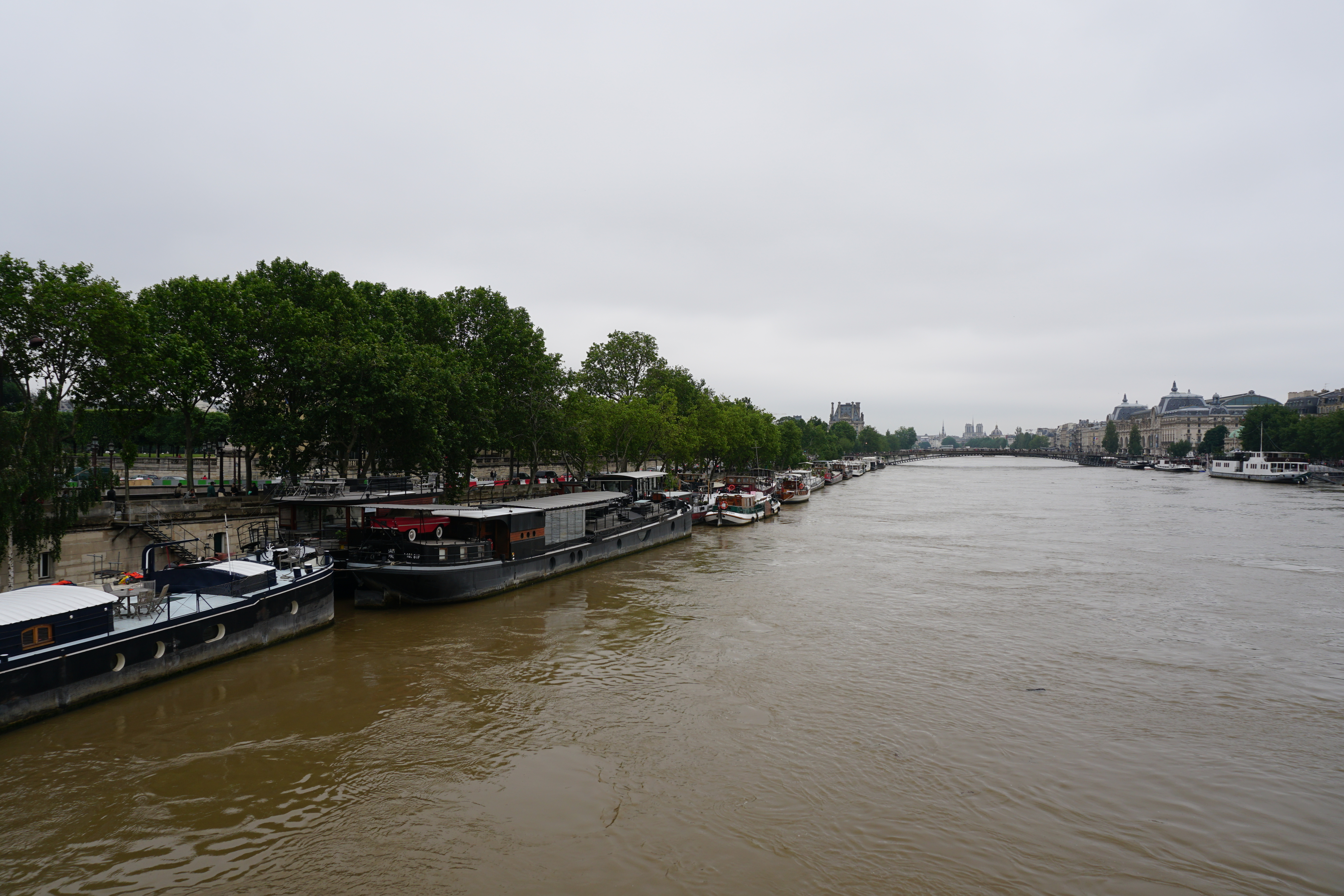 Picture France Paris Seine river 2016-06 3 - Recreation Seine river