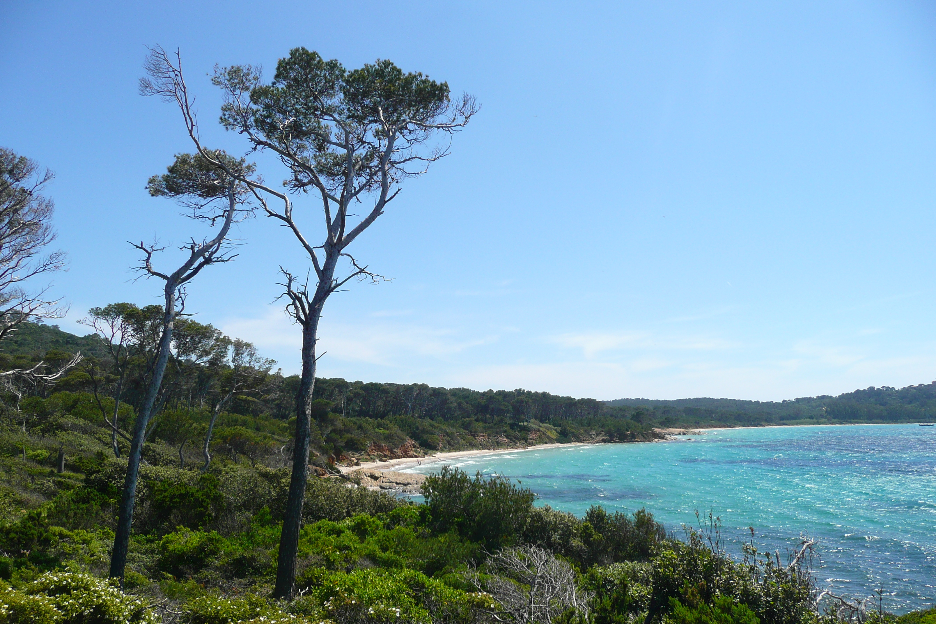 Picture France Porquerolles Island Pointe du Lequin 2008-05 15 - Recreation Pointe du Lequin