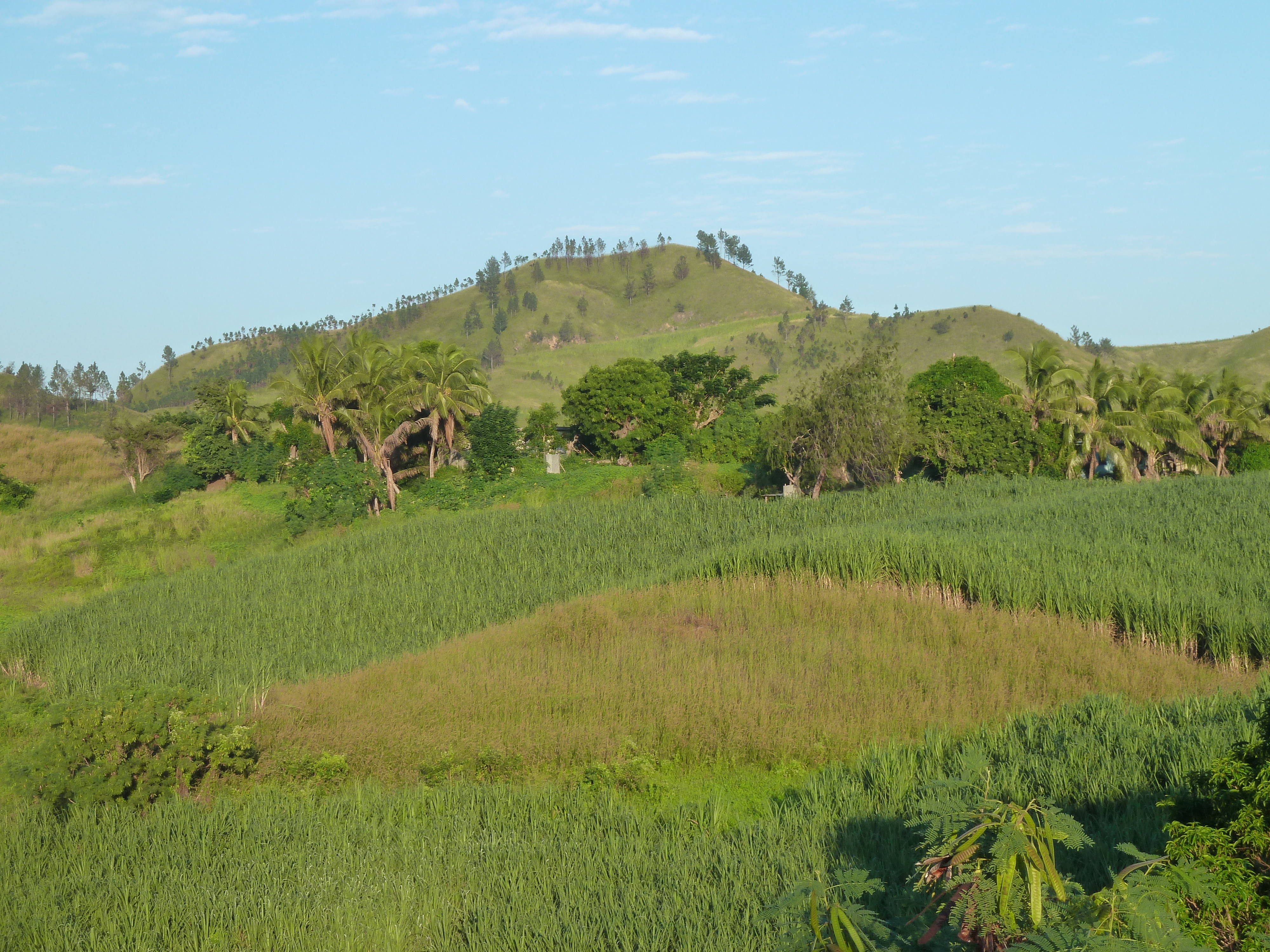 Picture Fiji Nadi to Sigatoka road 2010-05 4 - Journey Nadi to Sigatoka road