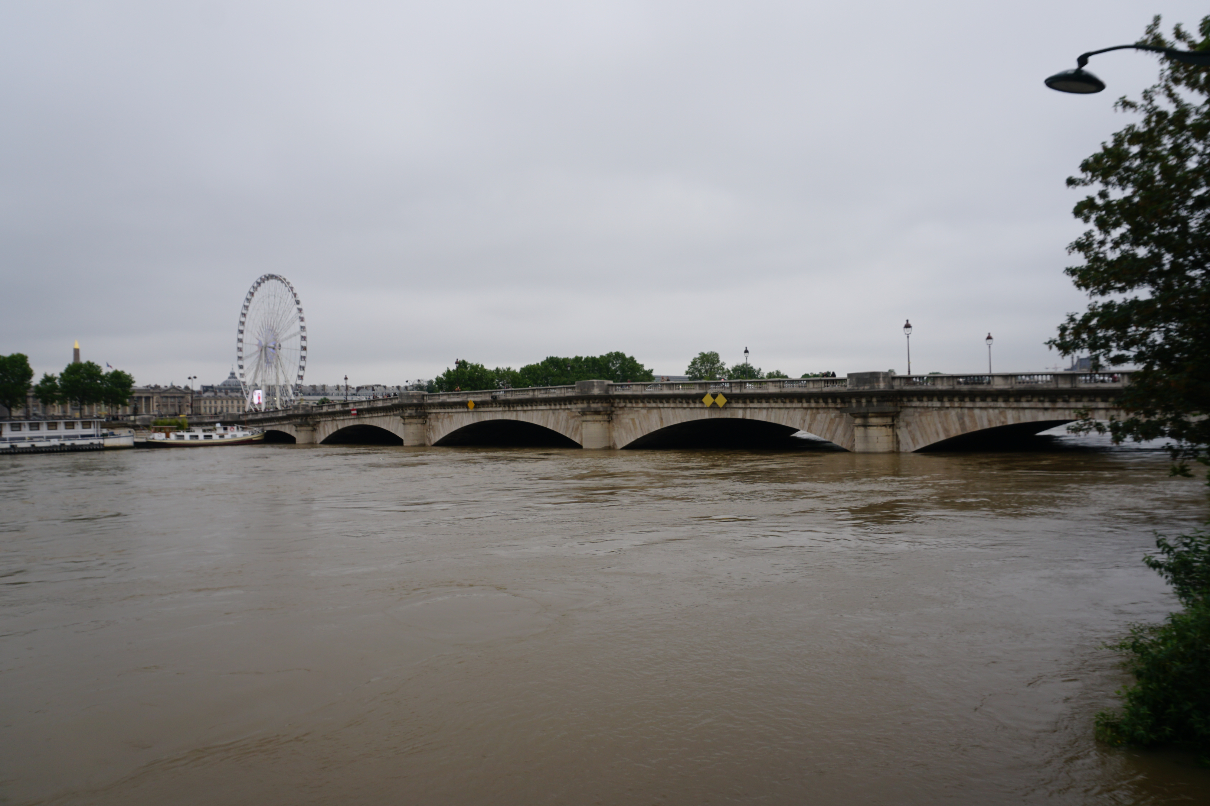 Picture France Paris Seine river 2016-06 74 - Tours Seine river