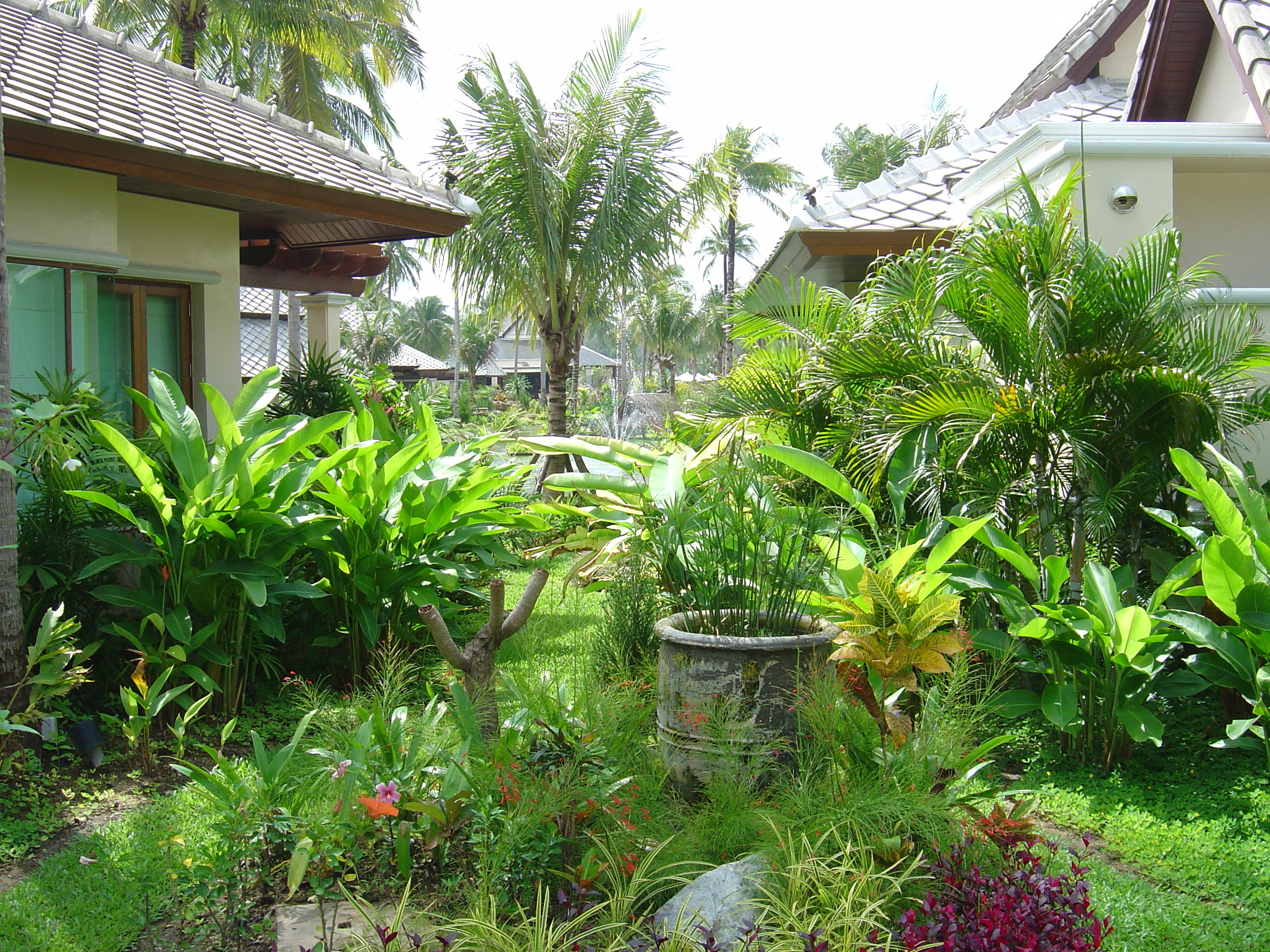 Picture Thailand Khao Lak Meridien Khao Lak Hotel 2005-12 294 - Discovery Meridien Khao Lak Hotel