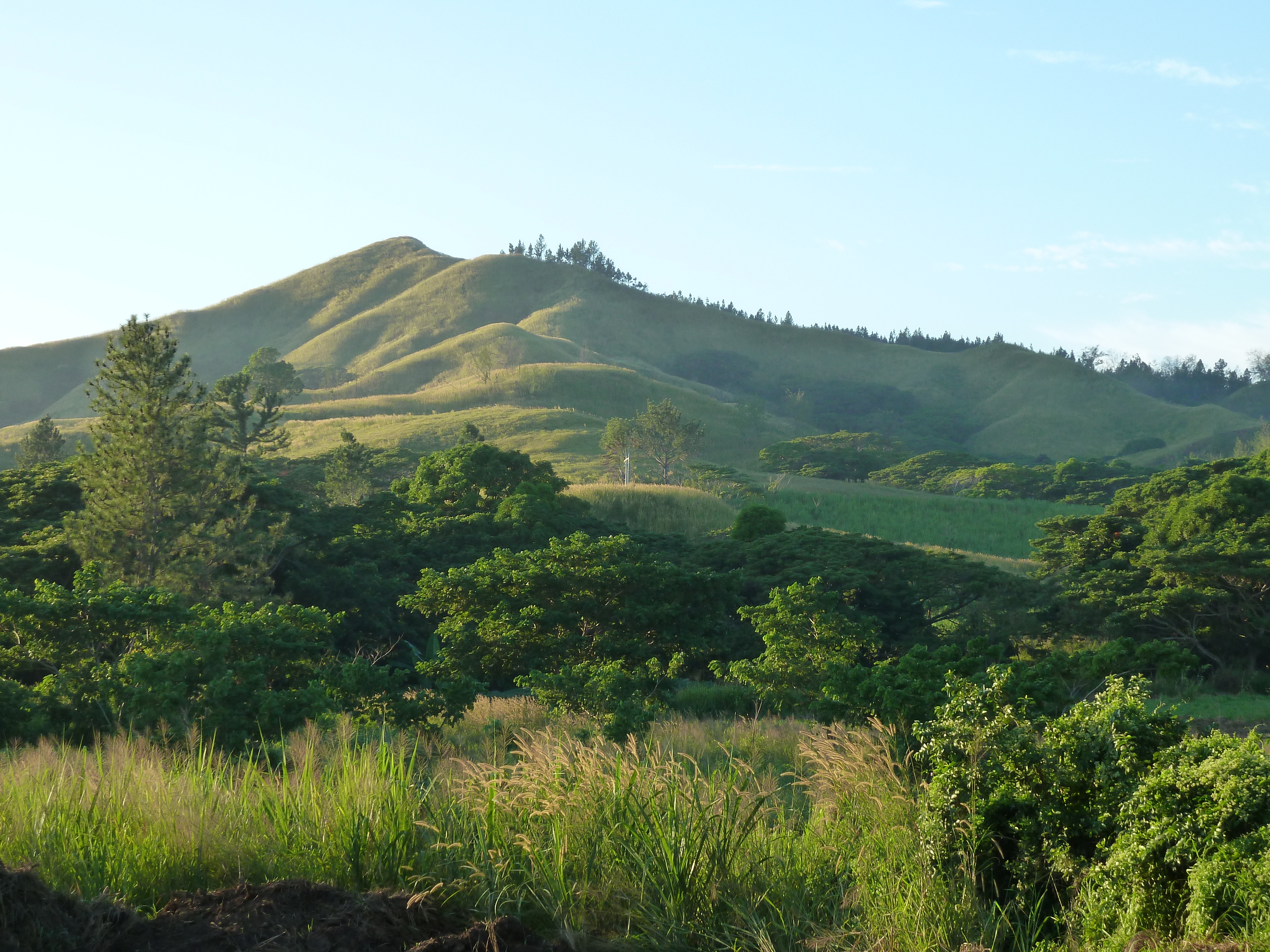 Picture Fiji Nadi to Sigatoka road 2010-05 1 - Center Nadi to Sigatoka road