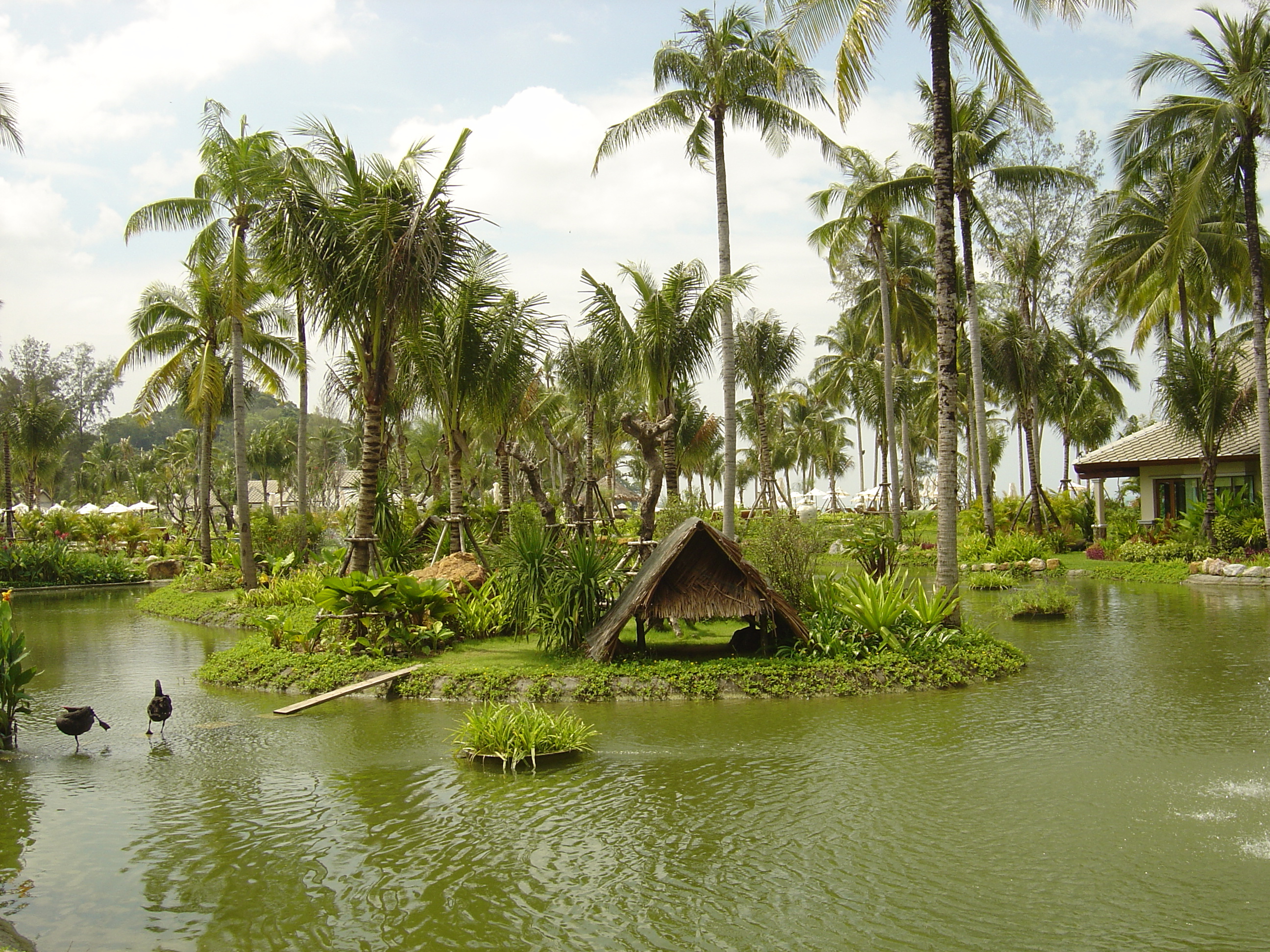 Picture Thailand Khao Lak Meridien Khao Lak Hotel 2005-12 15 - History Meridien Khao Lak Hotel