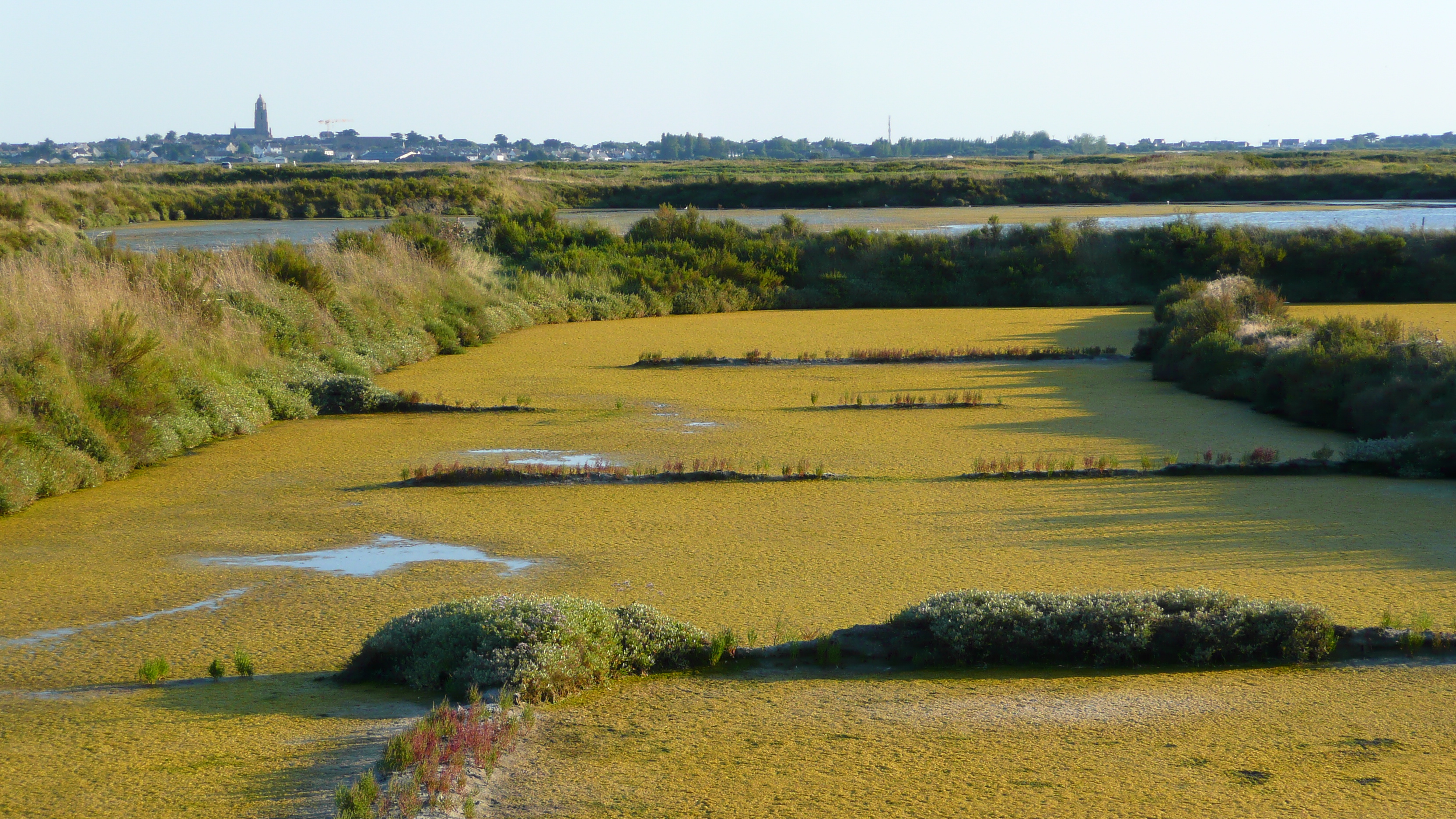 Picture France Guerande Les marais salants 2007-08 33 - History Les marais salants