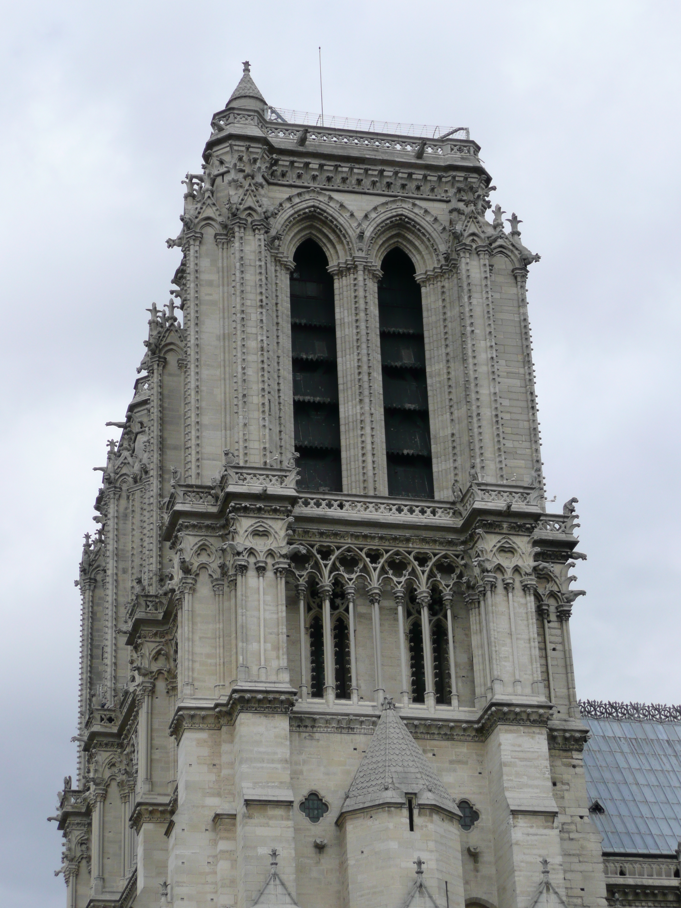 Picture France Paris Notre Dame 2007-05 222 - Tour Notre Dame