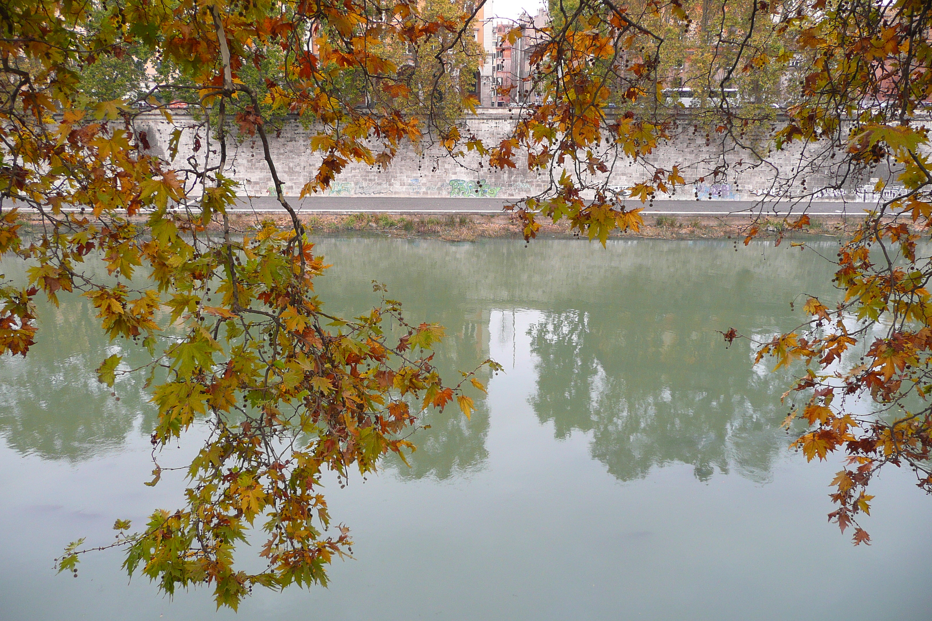 Picture Italy Rome Lungotevere Gianicolense 2007-11 23 - Tour Lungotevere Gianicolense