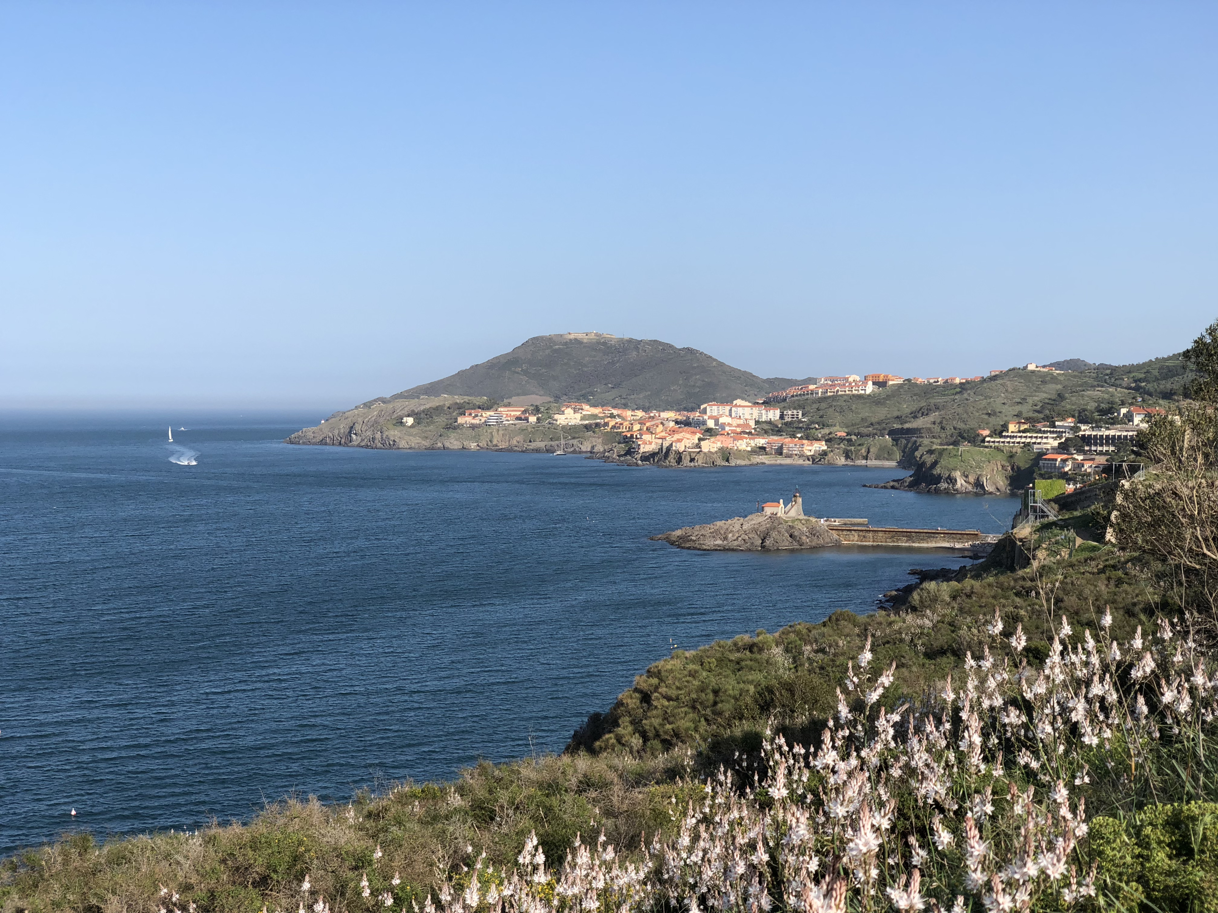 Picture France Collioure 2018-04 164 - Tours Collioure