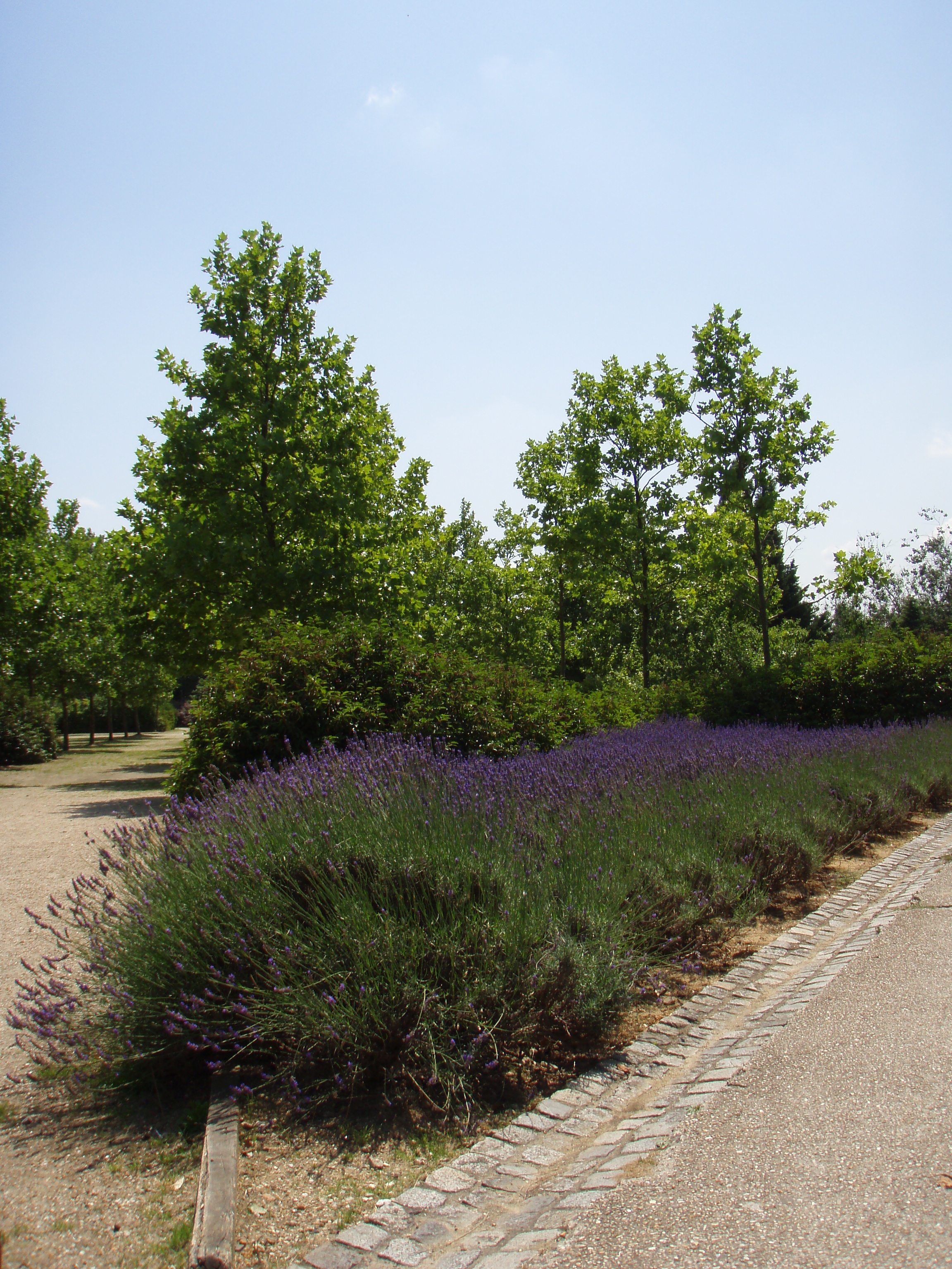 Picture France Villeneuve La Garenne Parc des Chanteraines 2007-07 71 - History Parc des Chanteraines