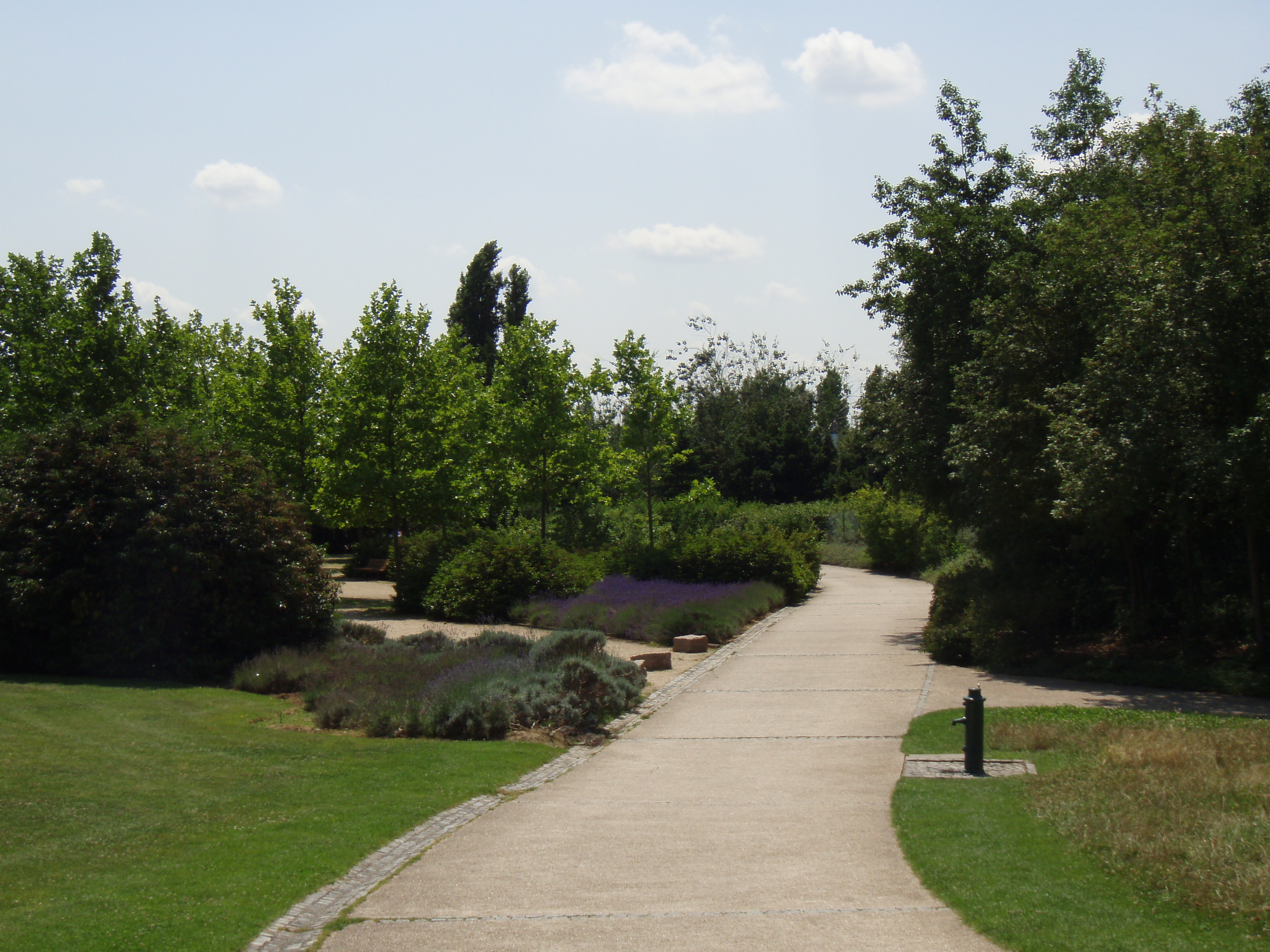 Picture France Villeneuve La Garenne Parc des Chanteraines 2007-07 67 - Tour Parc des Chanteraines