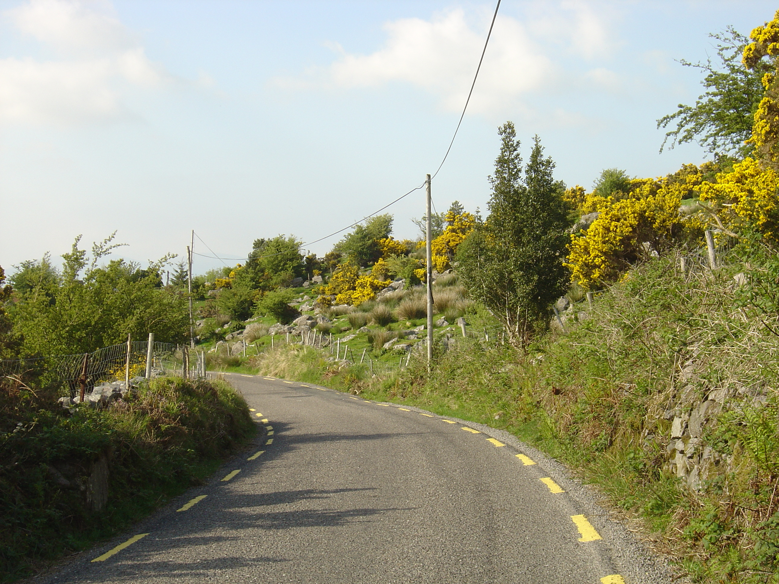 Picture Ireland Kerry Caragh Lake 2004-05 4 - Discovery Caragh Lake