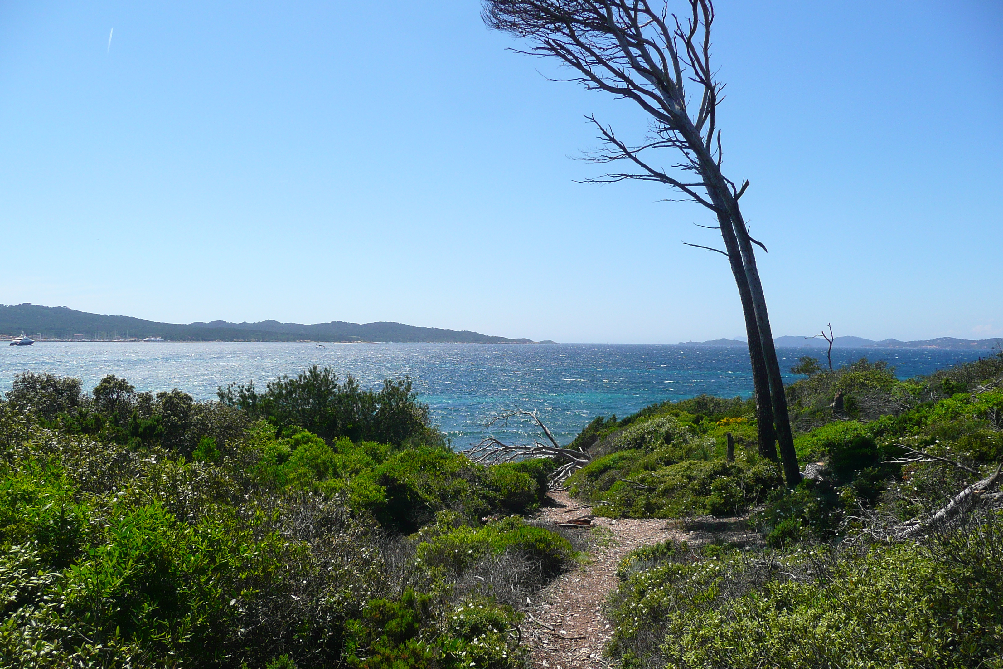 Picture France Porquerolles Island Pointe du Lequin 2008-05 27 - Around Pointe du Lequin