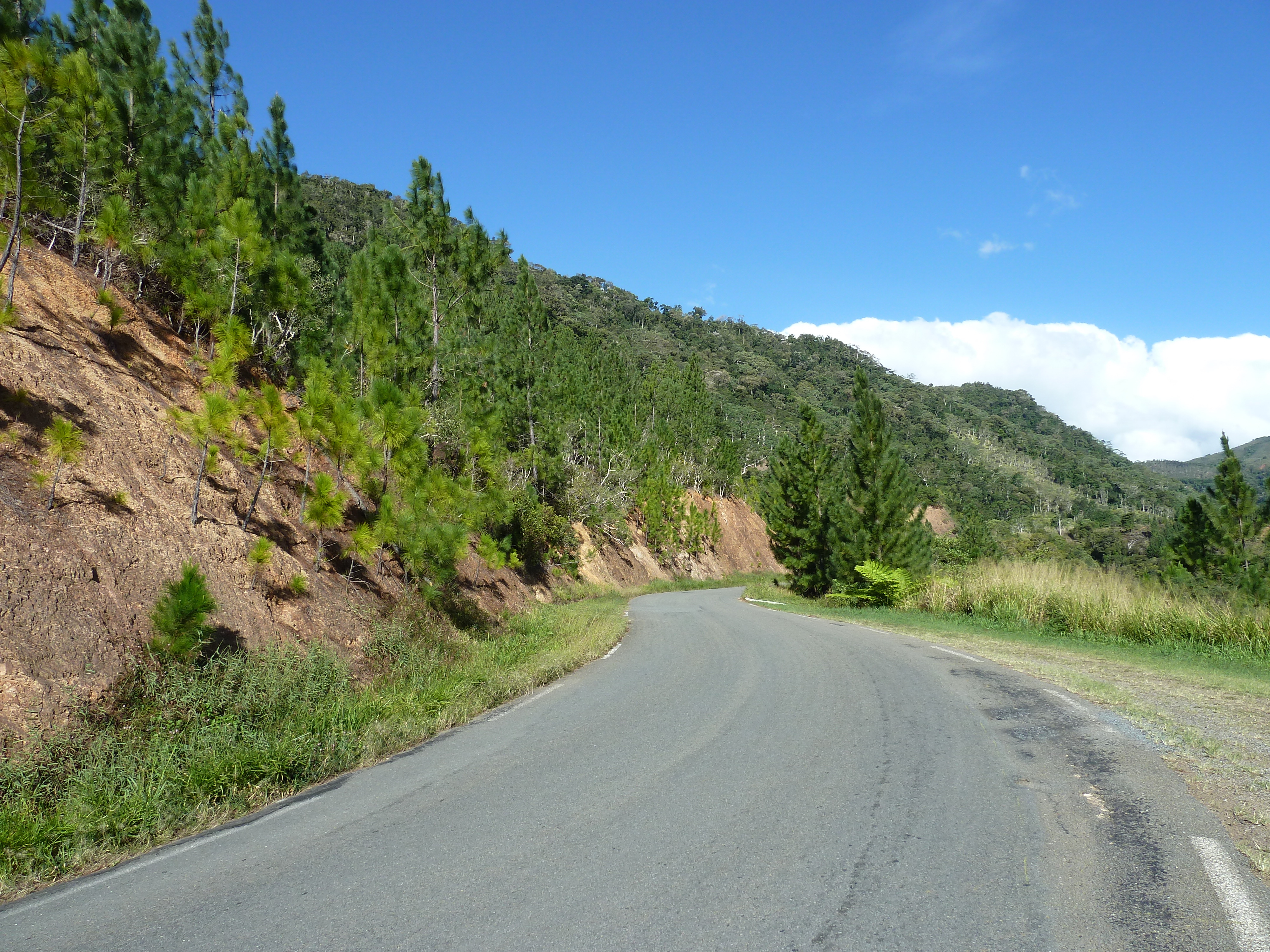 Picture New Caledonia Canala to La Foa road 2010-05 68 - Tour Canala to La Foa road