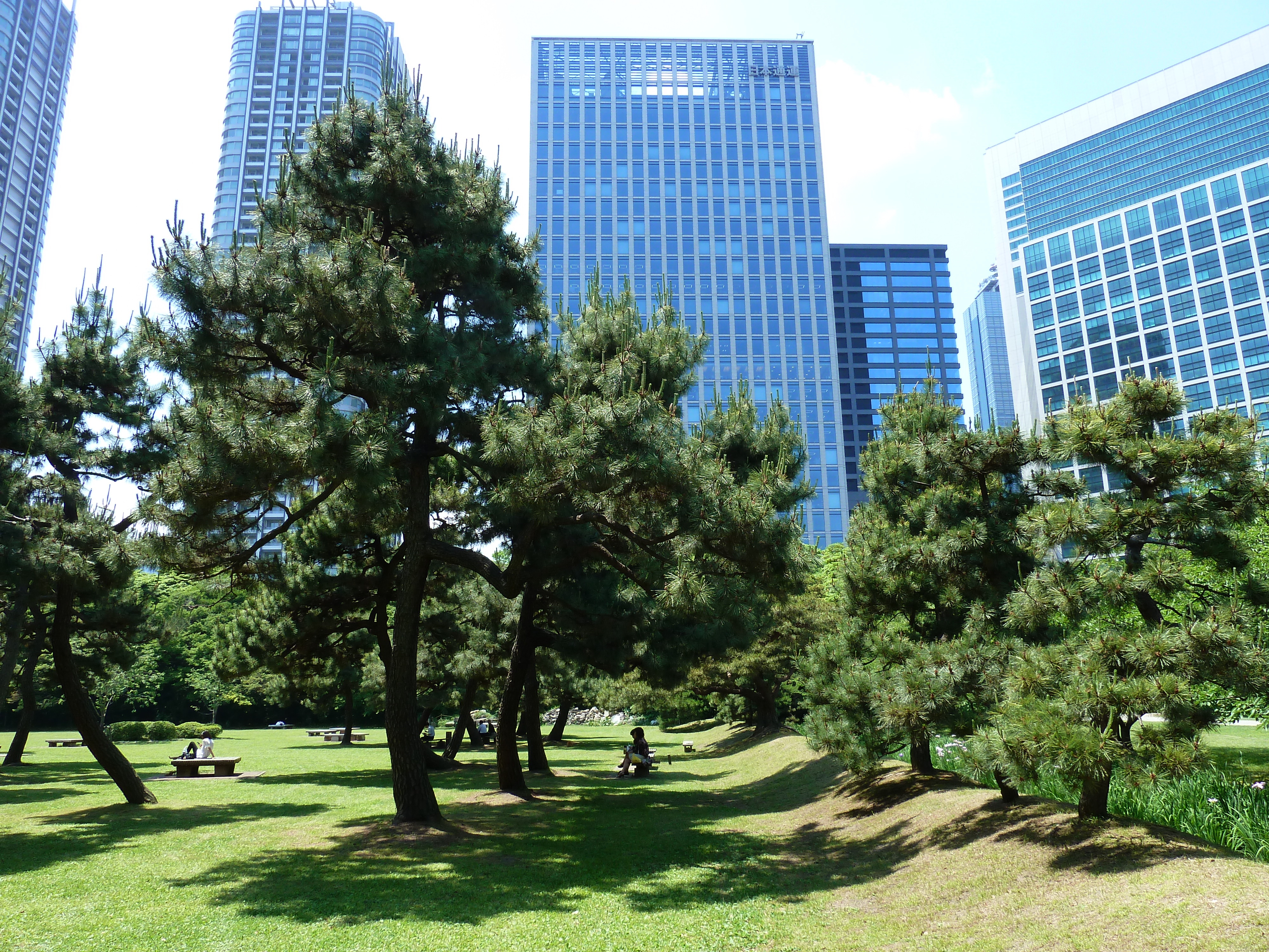 Picture Japan Tokyo Hama rikyu Gardens 2010-06 22 - Around Hama rikyu Gardens