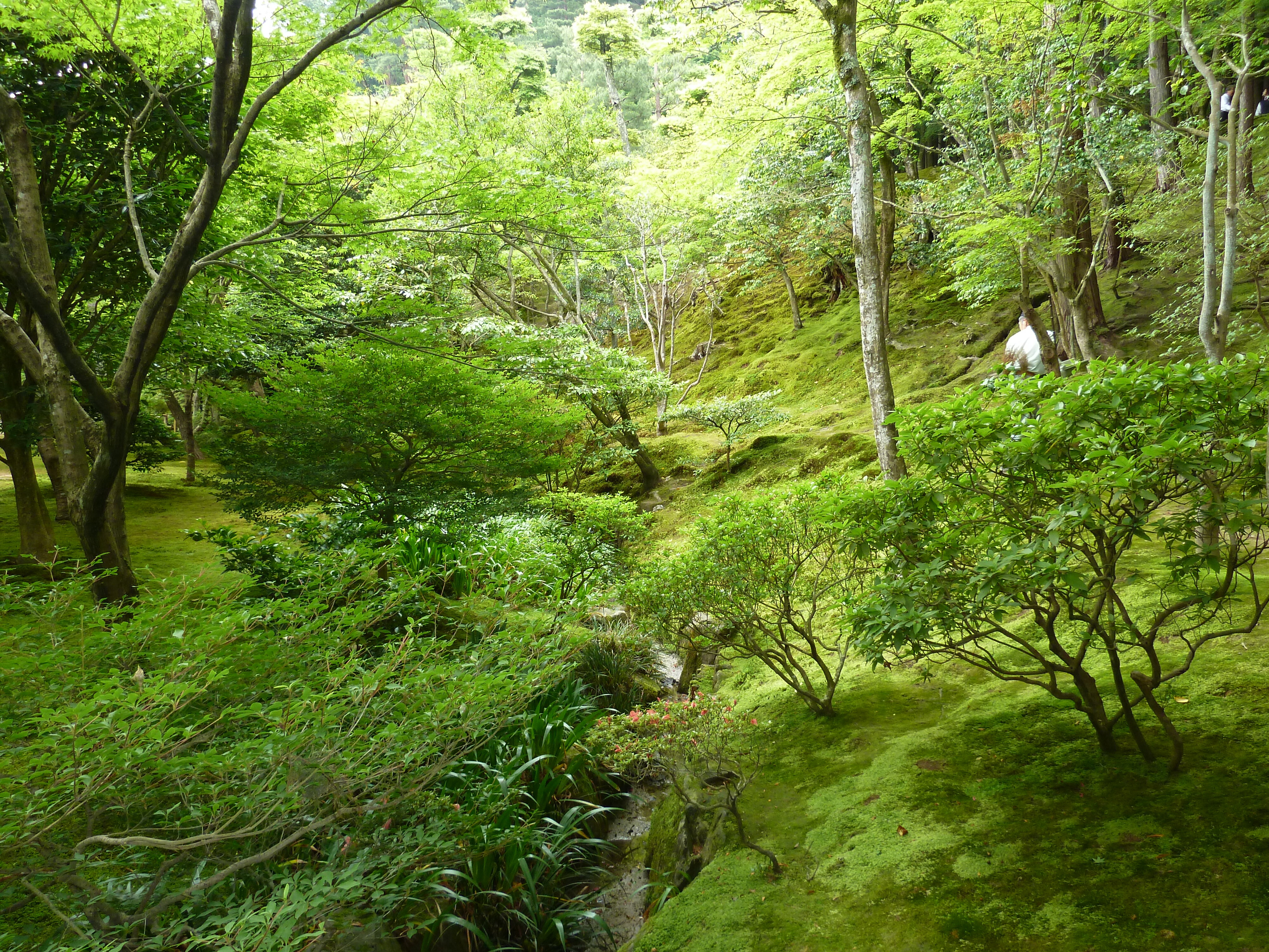 Picture Japan Kyoto Ginkakuji Temple(Silver Pavilion) 2010-06 84 - Around Ginkakuji Temple(Silver Pavilion)