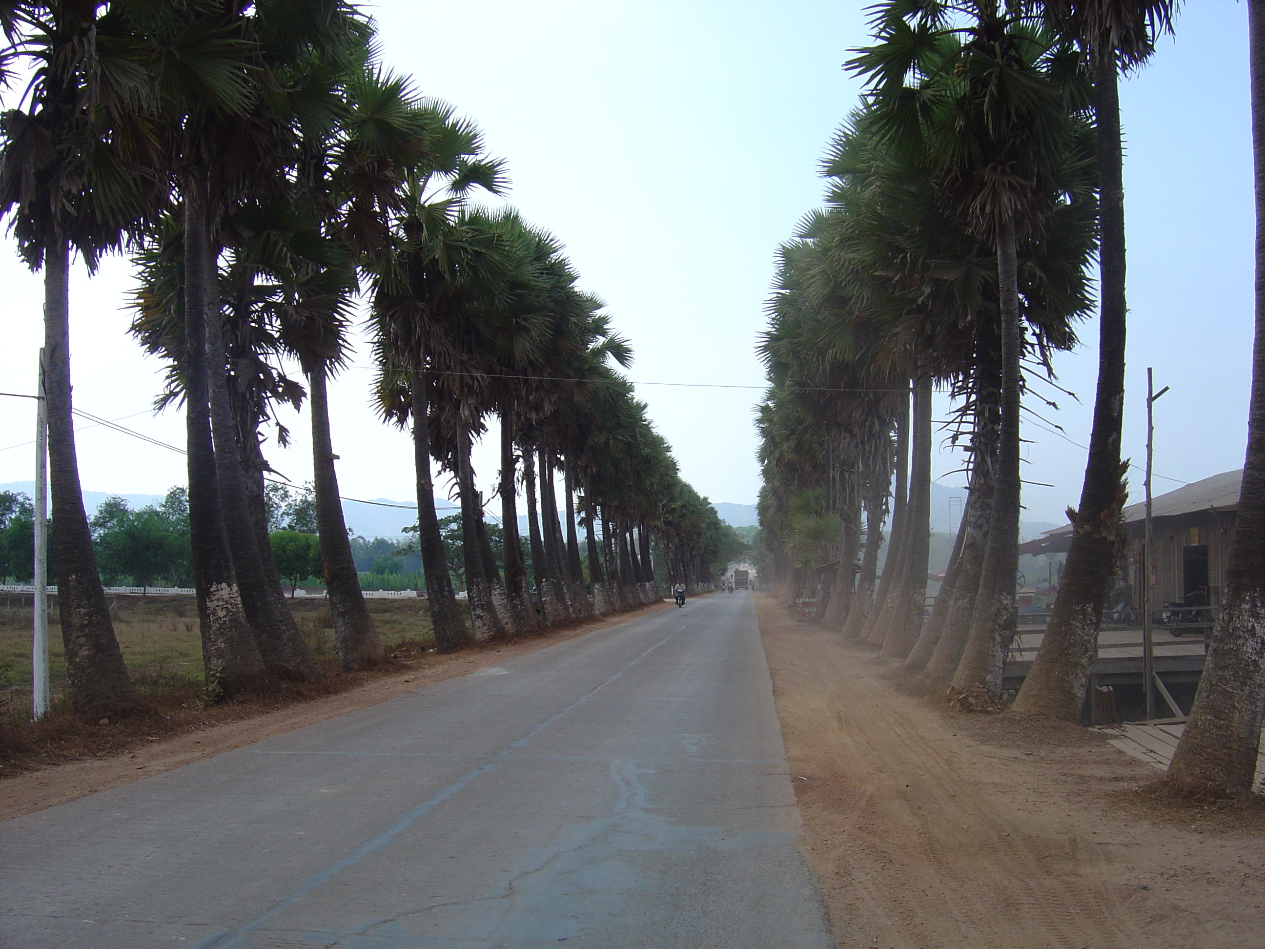 Picture Myanmar Road from Dawei to Maungmagan beach 2005-01 63 - Center Road from Dawei to Maungmagan beach