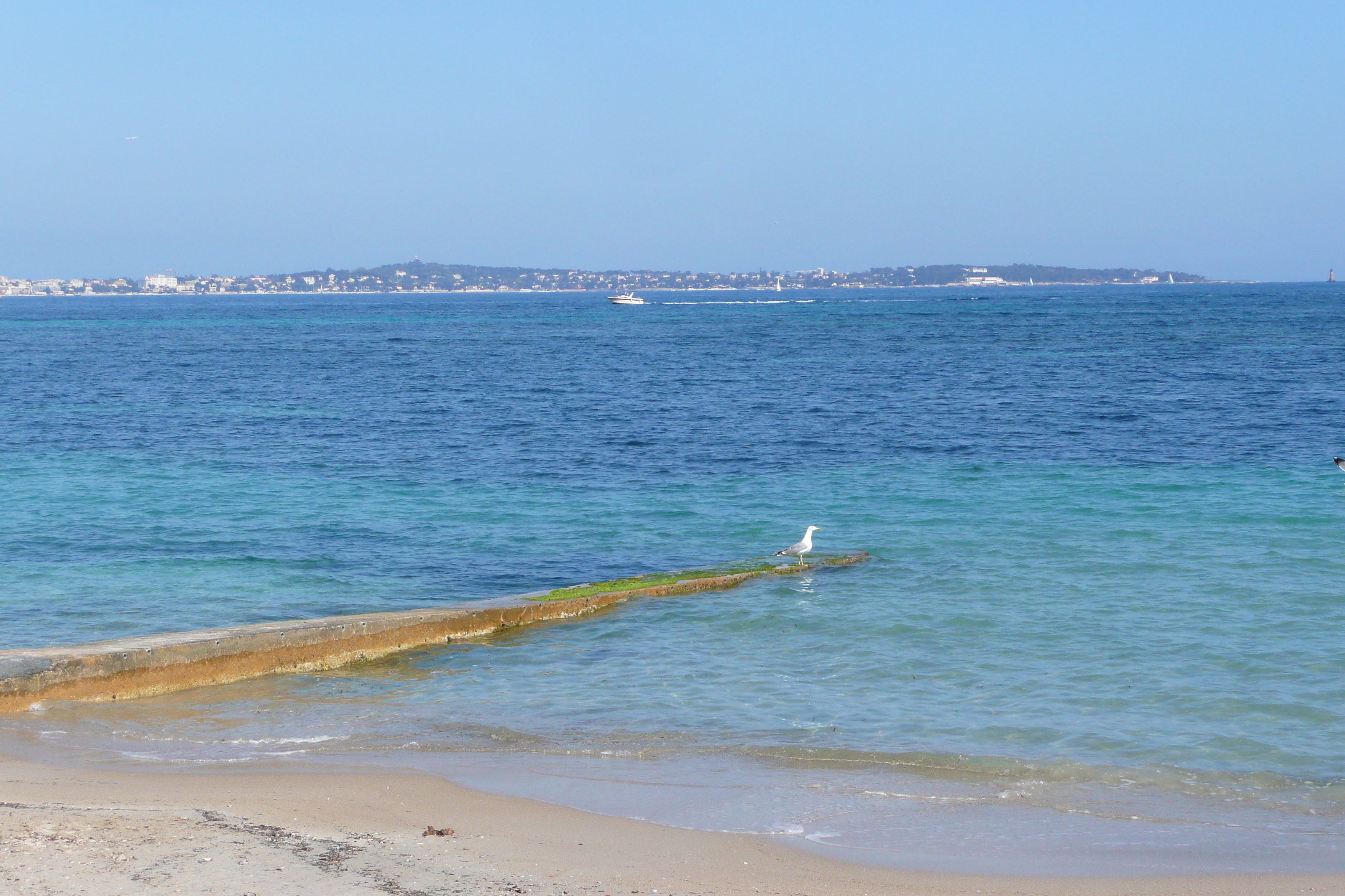 Picture France Cannes Plage Gazagnaire 2008-03 75 - Journey Plage Gazagnaire