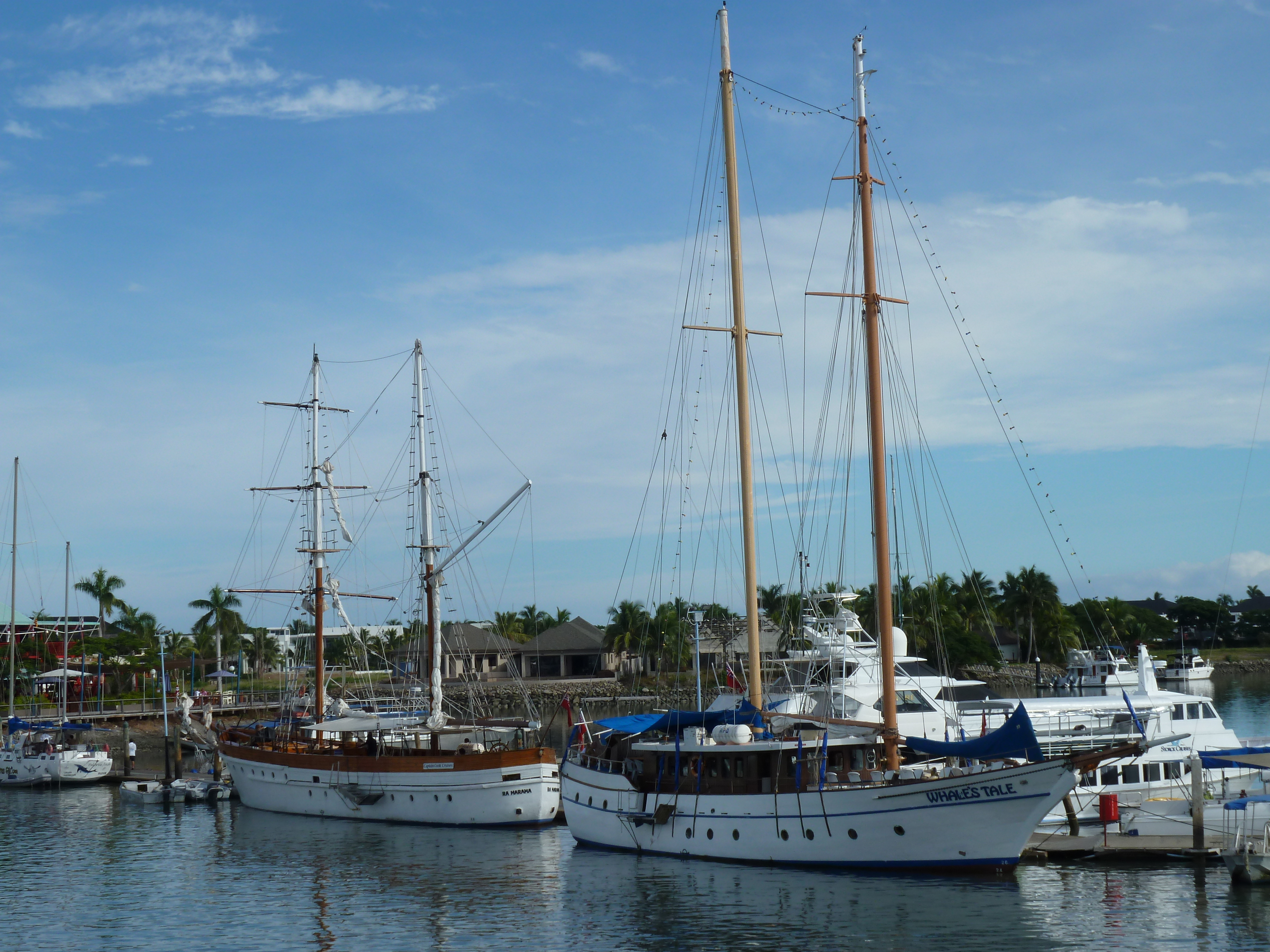 Picture Fiji Port Denarau 2010-05 62 - Tours Port Denarau