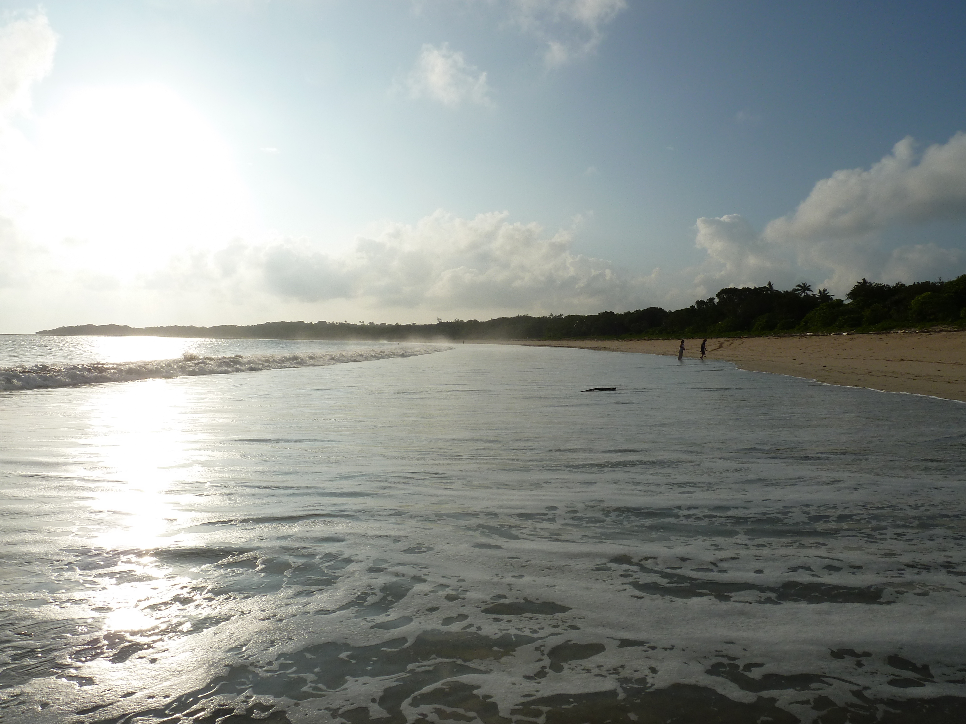 Picture Fiji Natadola beach 2010-05 6 - Tour Natadola beach