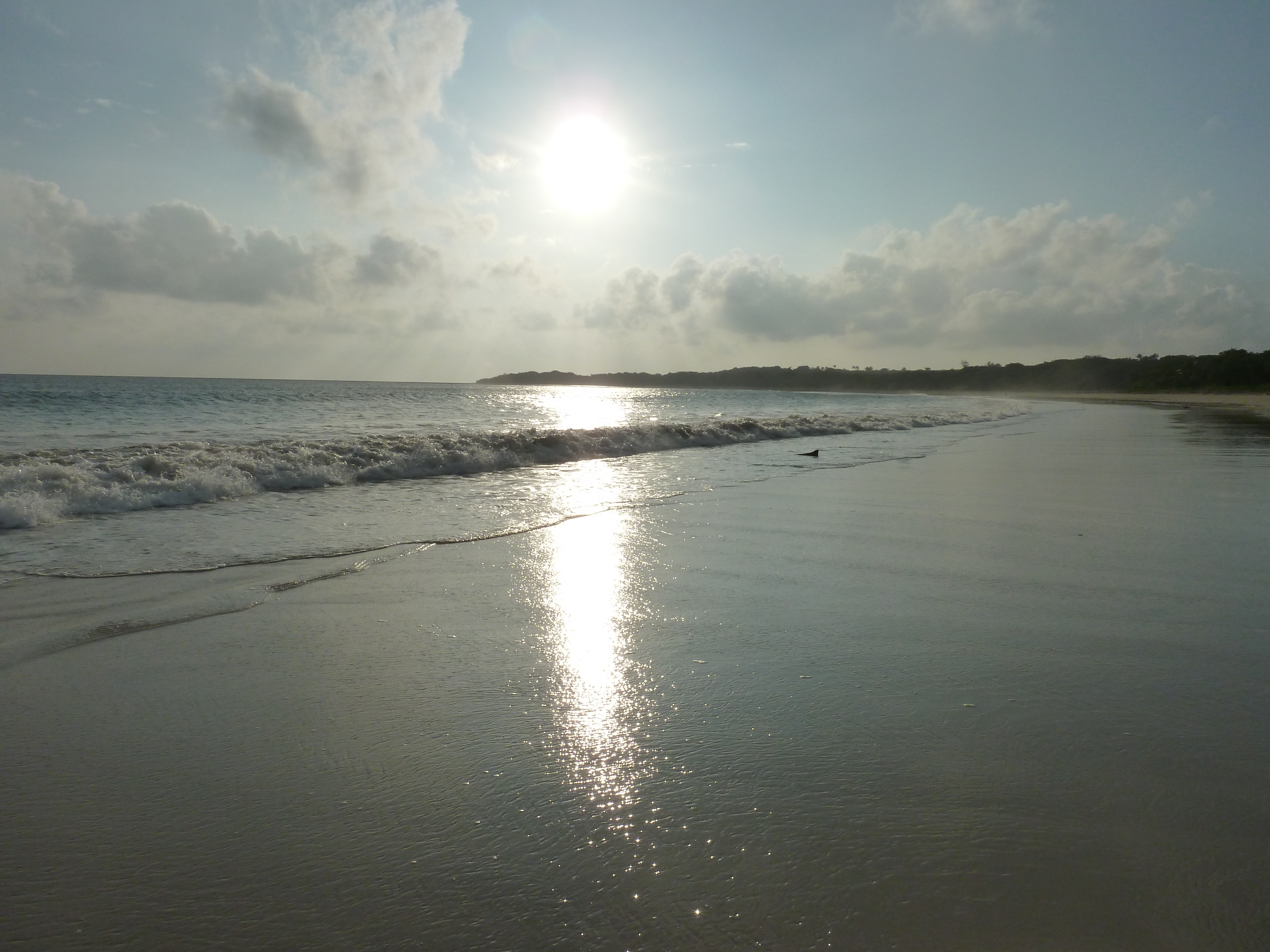 Picture Fiji Natadola beach 2010-05 9 - History Natadola beach