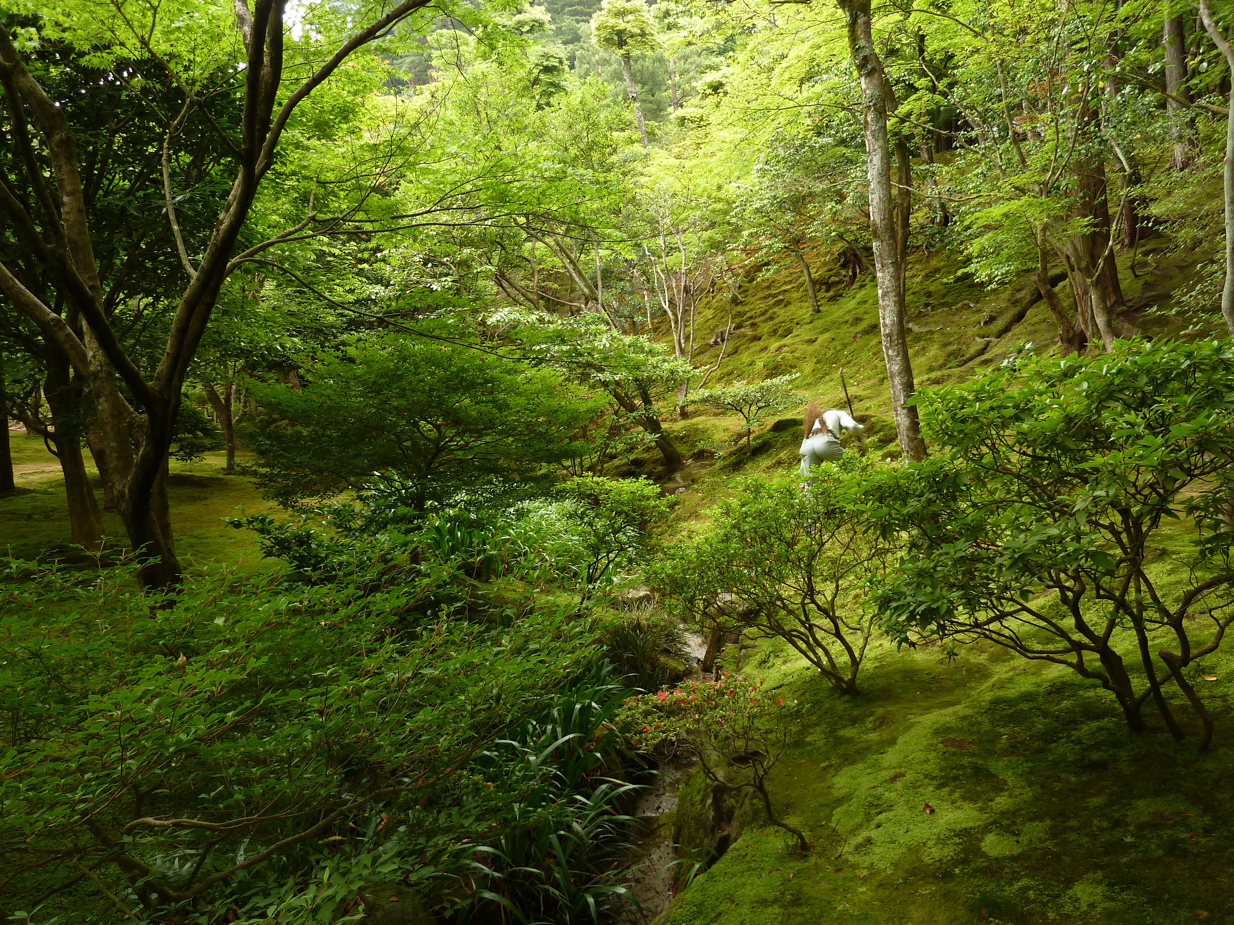 Picture Japan Kyoto Ginkakuji Temple(Silver Pavilion) 2010-06 79 - Tour Ginkakuji Temple(Silver Pavilion)