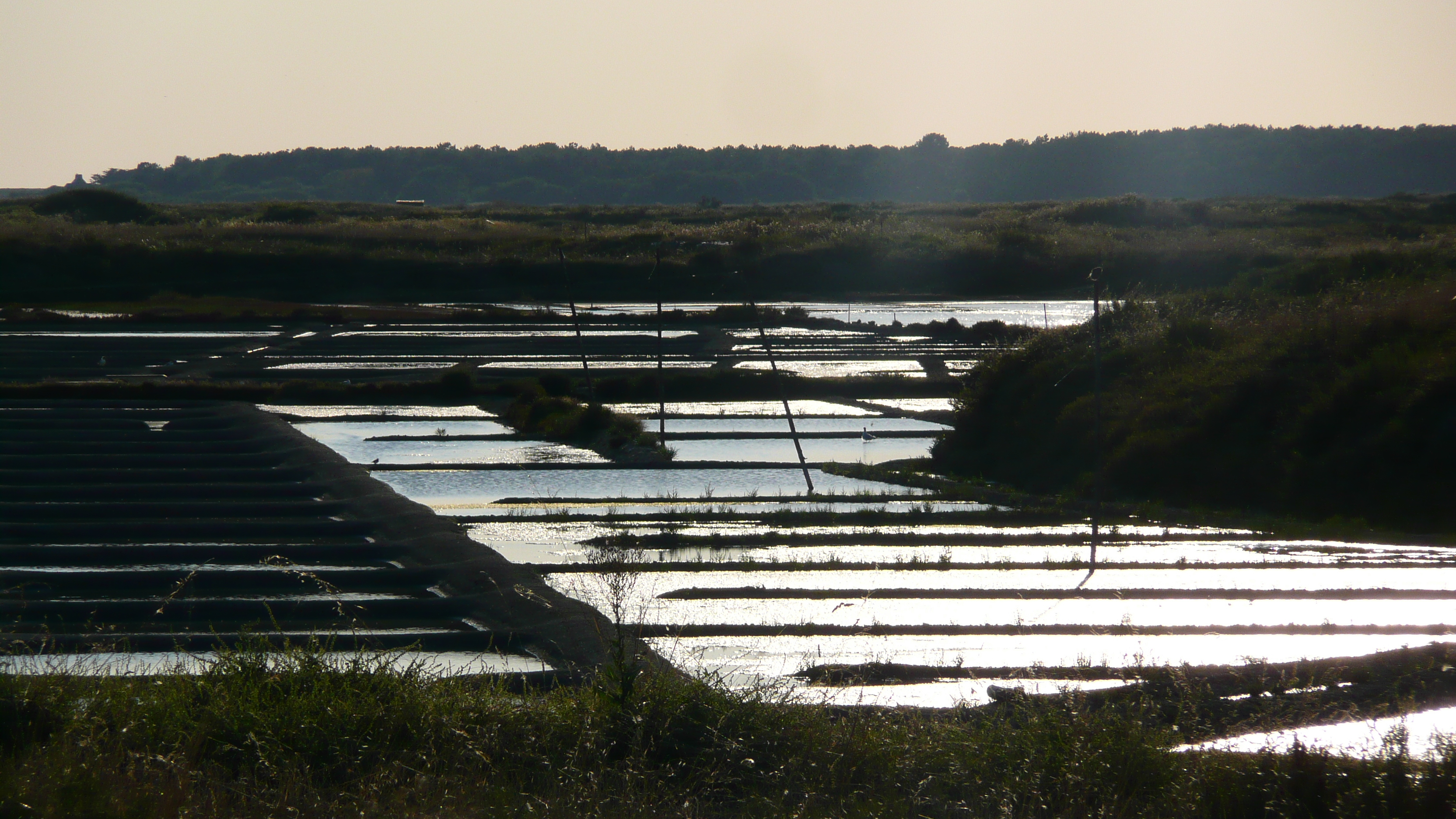 Picture France Guerande Les marais salants 2007-08 1 - Discovery Les marais salants