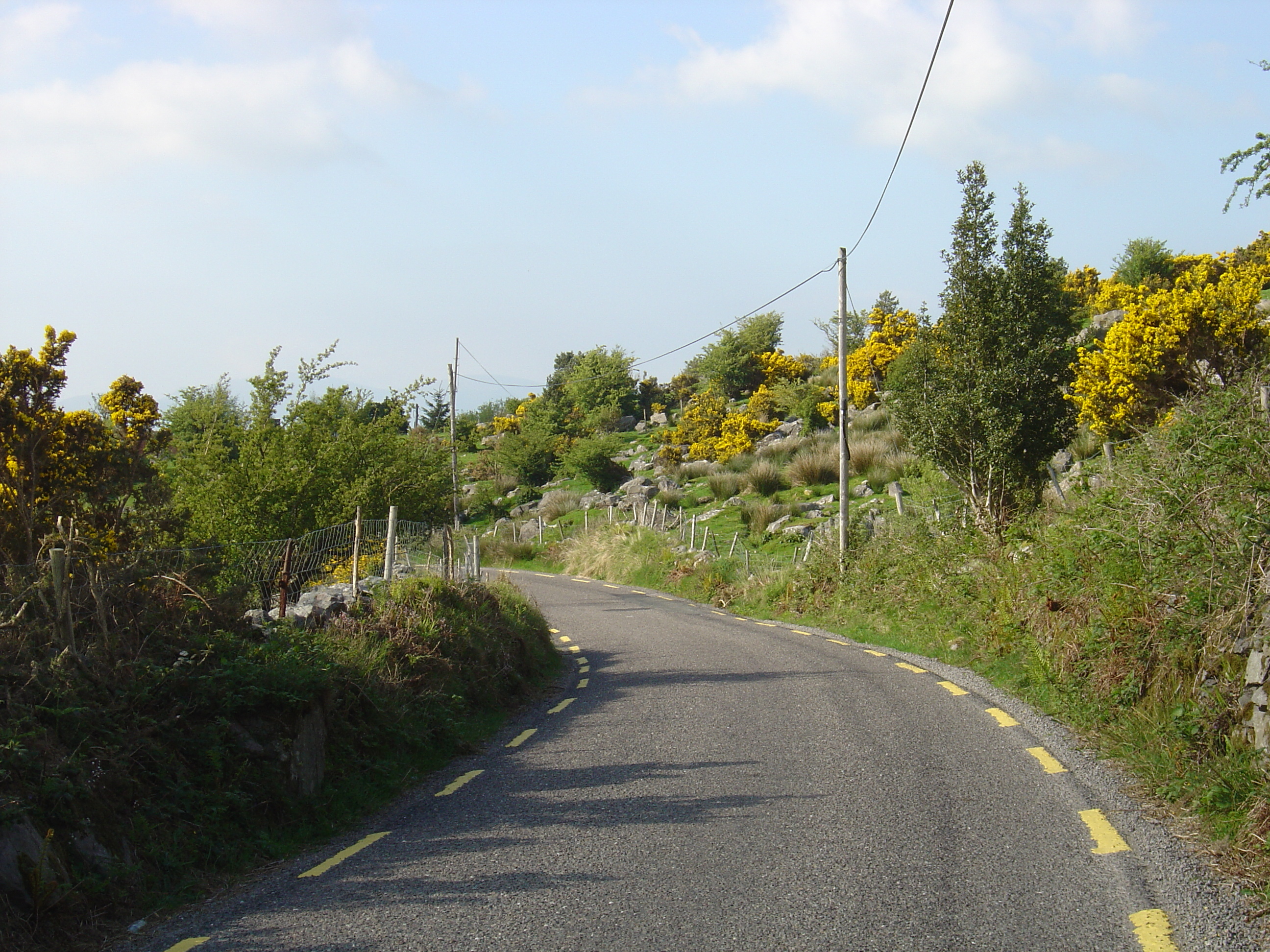 Picture Ireland Kerry Caragh Lake 2004-05 46 - Around Caragh Lake