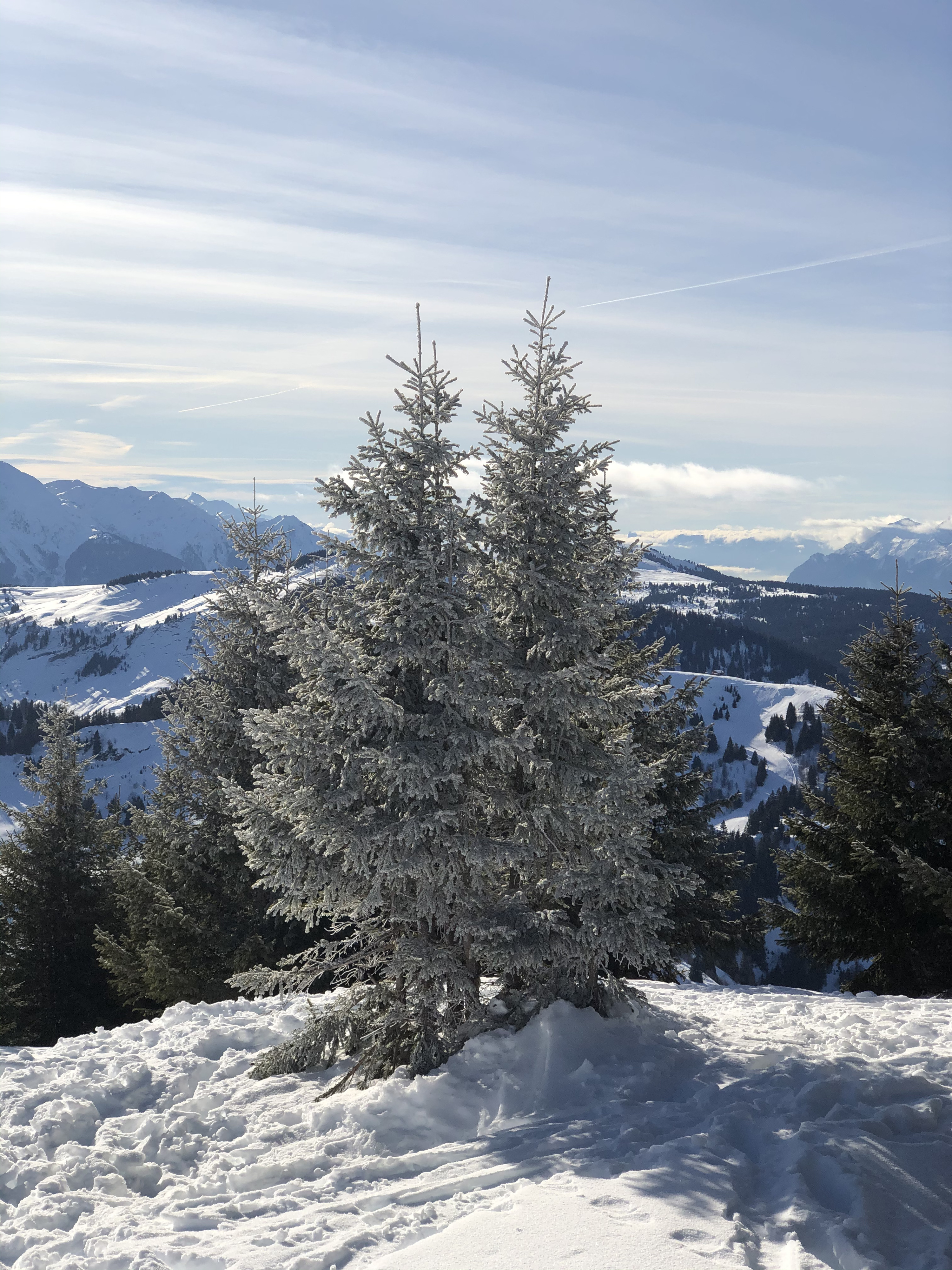 Picture France Praz sur Arly 2019-12 476 - Tours Praz sur Arly