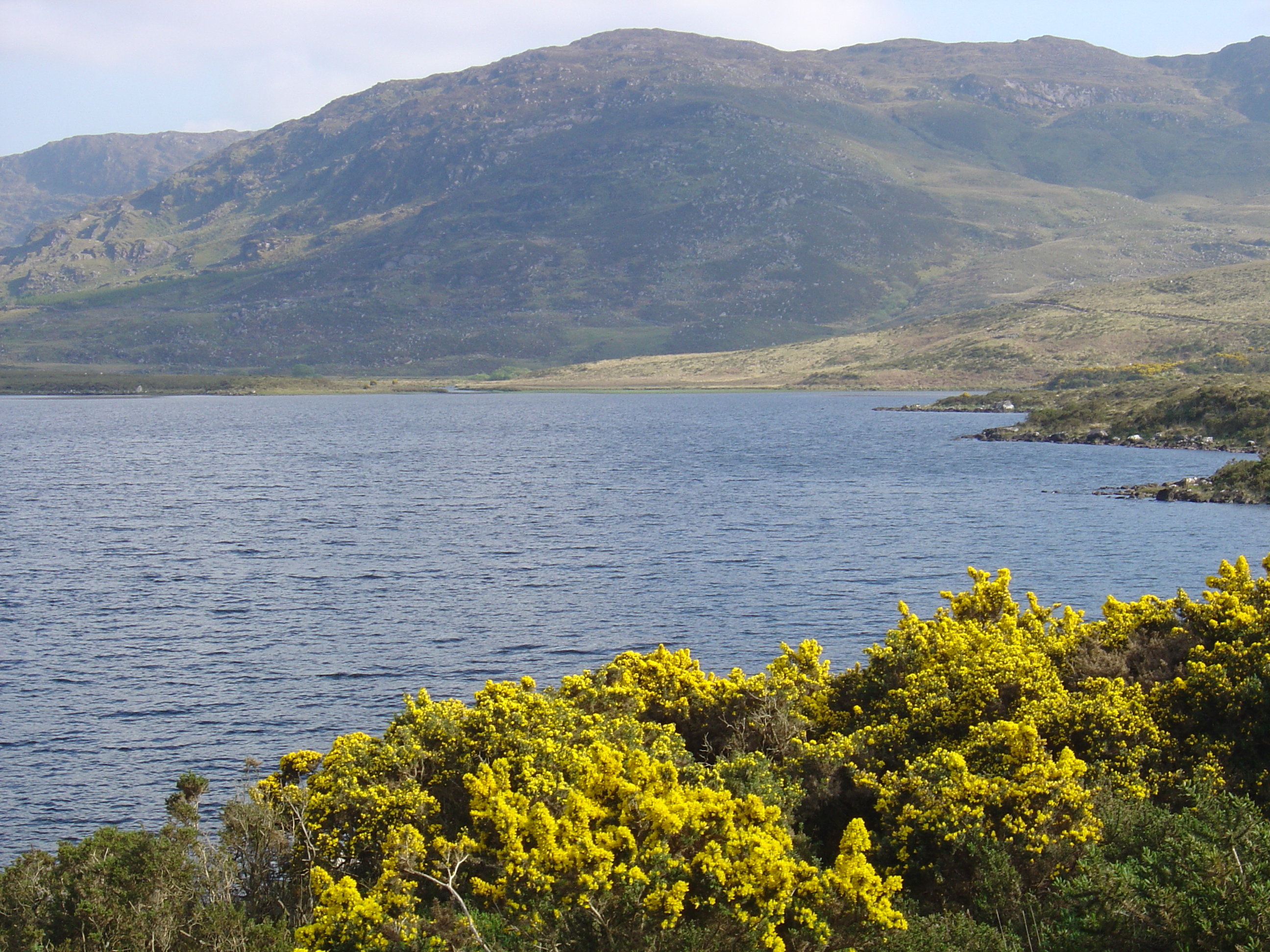 Picture Ireland Kerry Caragh Lake 2004-05 7 - Center Caragh Lake