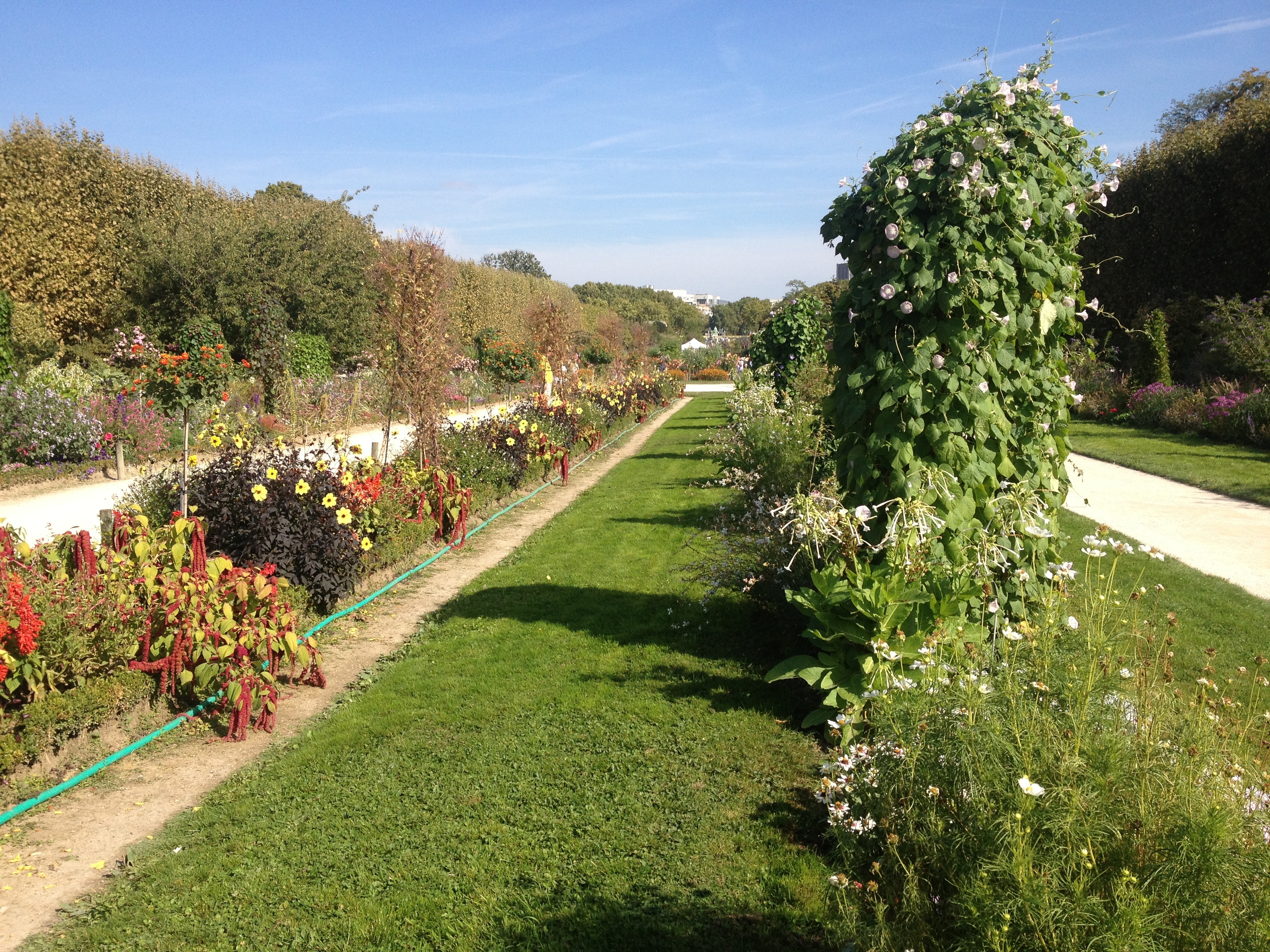 Picture France Paris Jardin des Plantes 2014-09 17 - Tours Jardin des Plantes