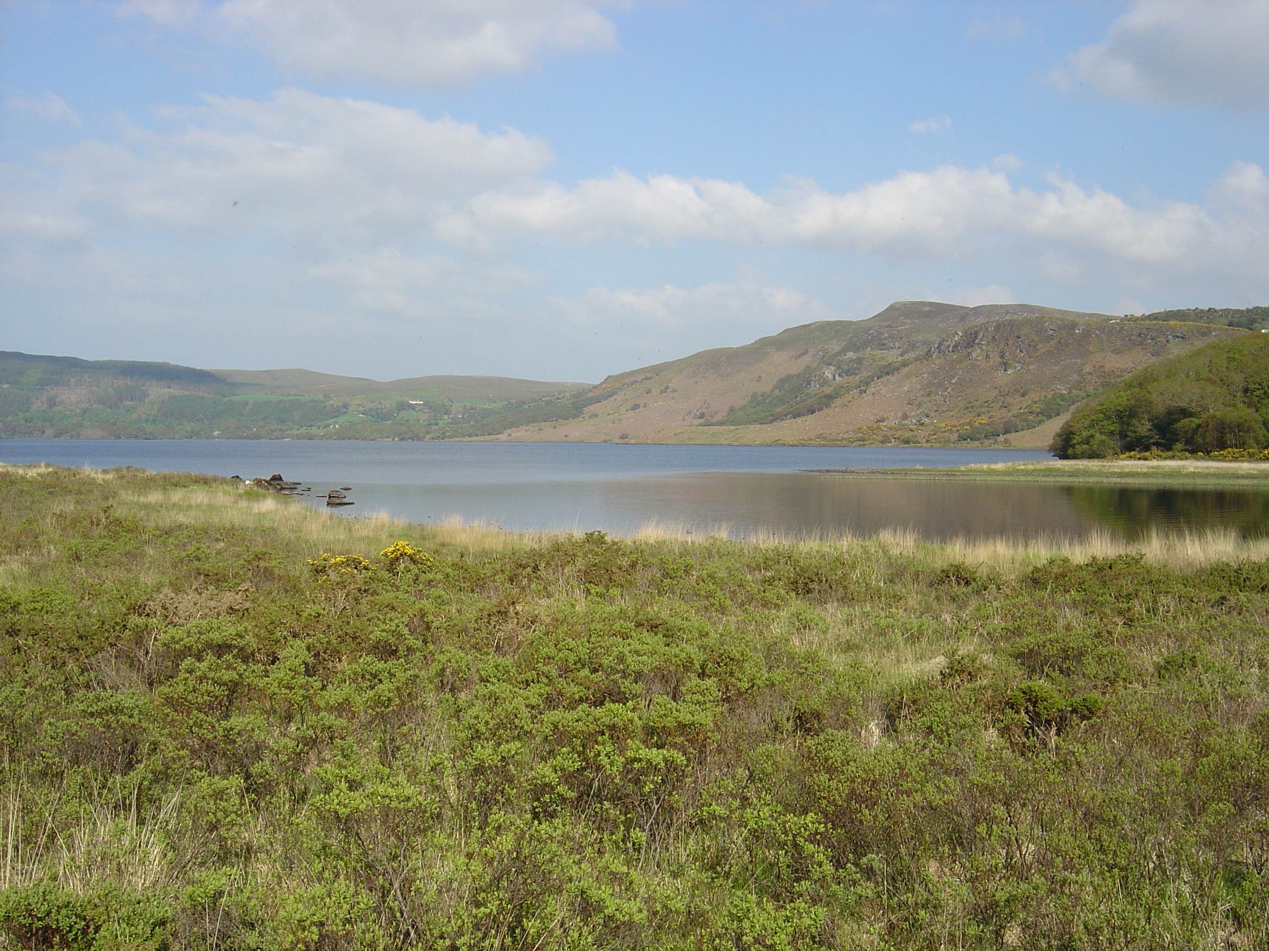 Picture Ireland Kerry Caragh Lake 2004-05 3 - Around Caragh Lake