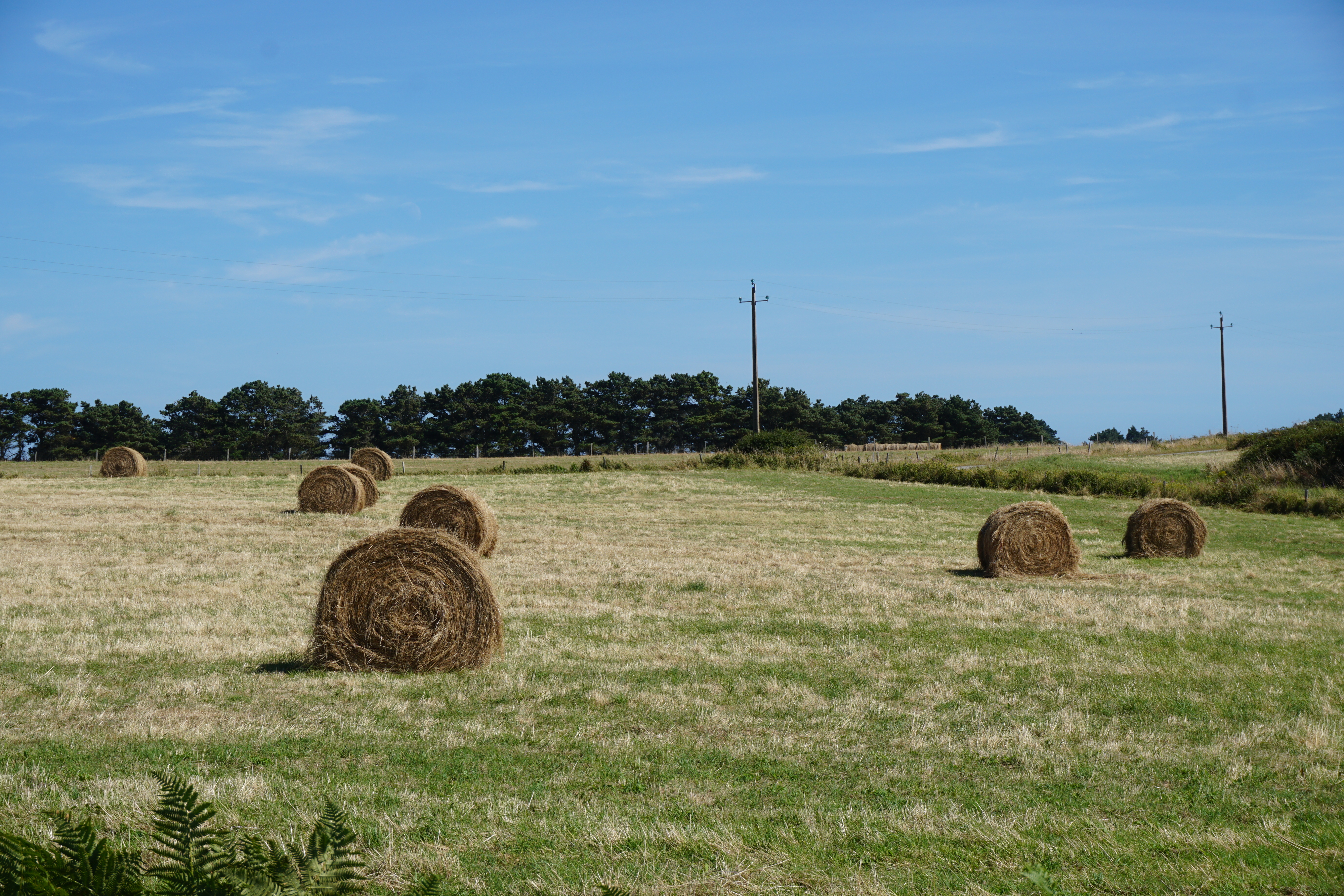 Picture France Belle-Ile 2016-08 248 - Tour Belle-Ile