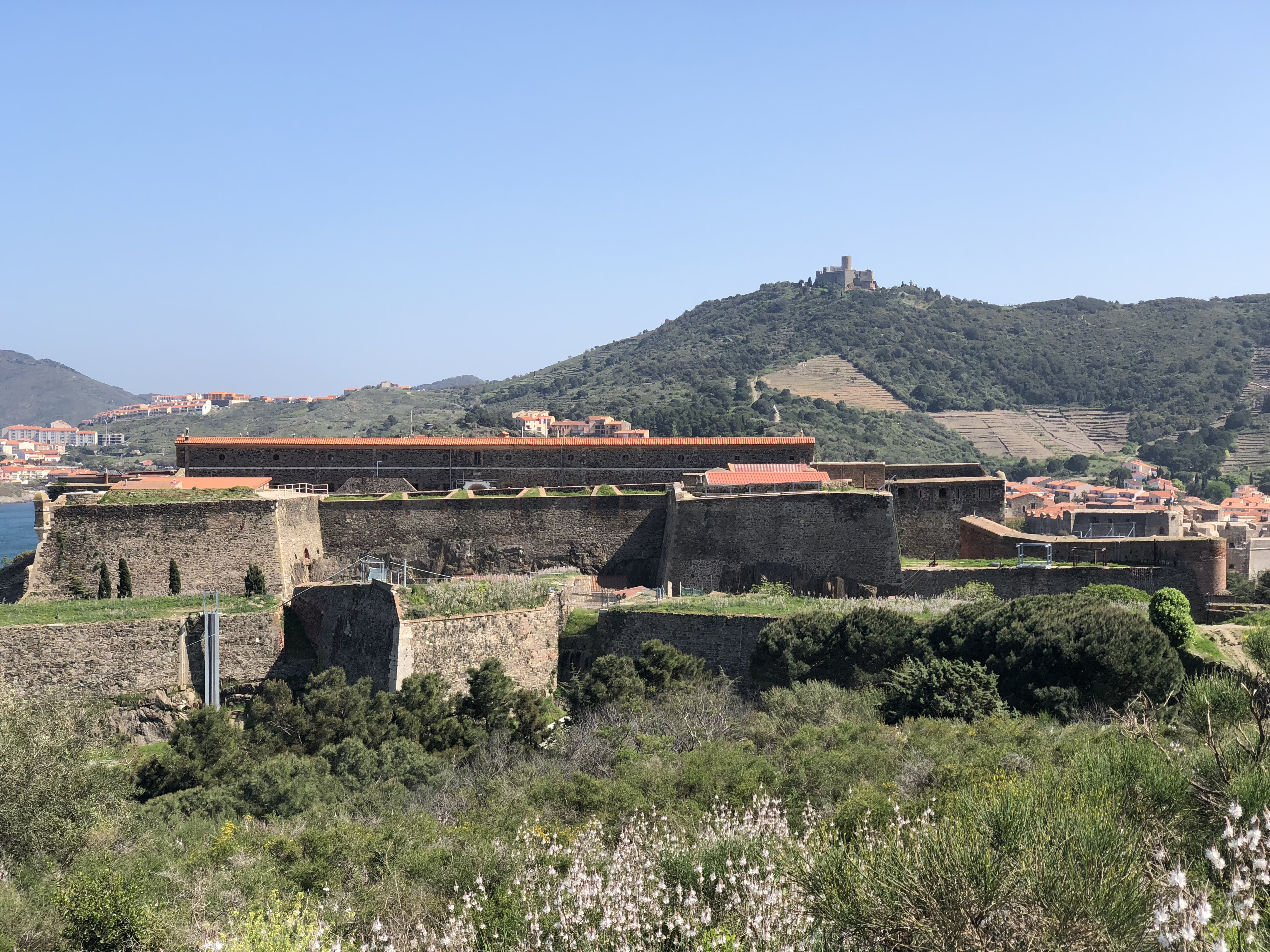 Picture France Collioure 2018-04 294 - Tour Collioure