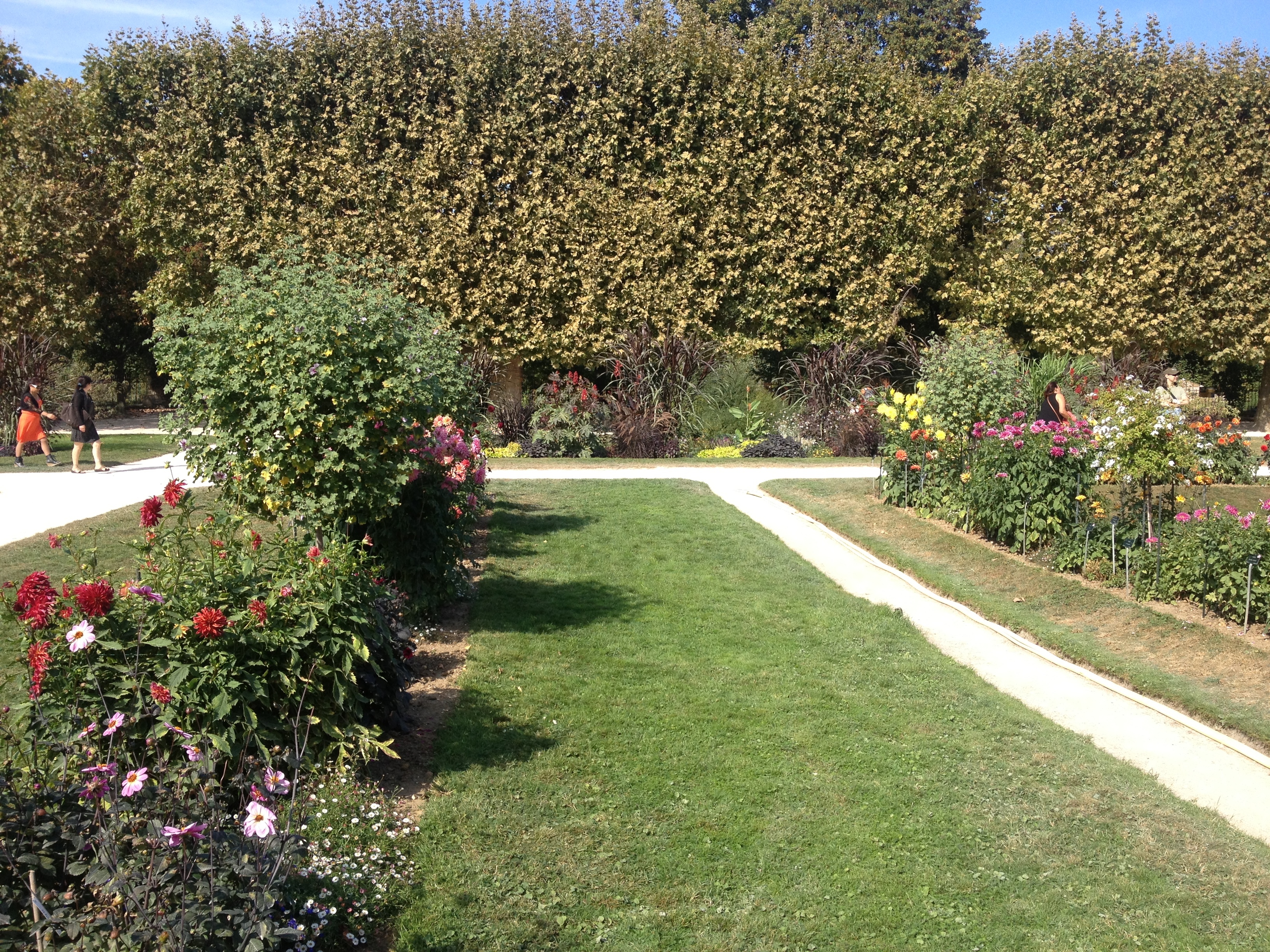 Picture France Paris Jardin des Plantes 2014-09 28 - Center Jardin des Plantes