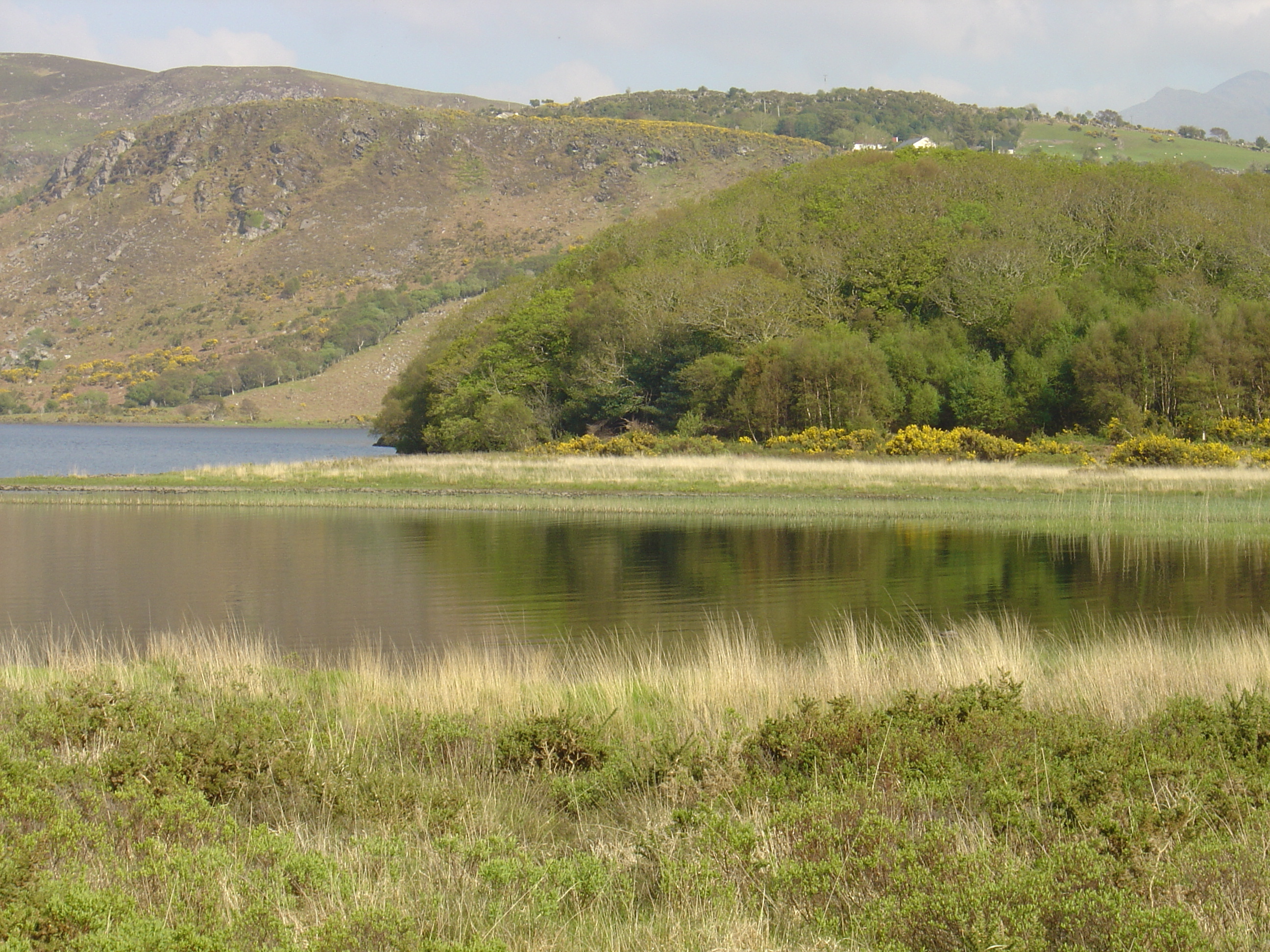 Picture Ireland Kerry Caragh Lake 2004-05 1 - Journey Caragh Lake