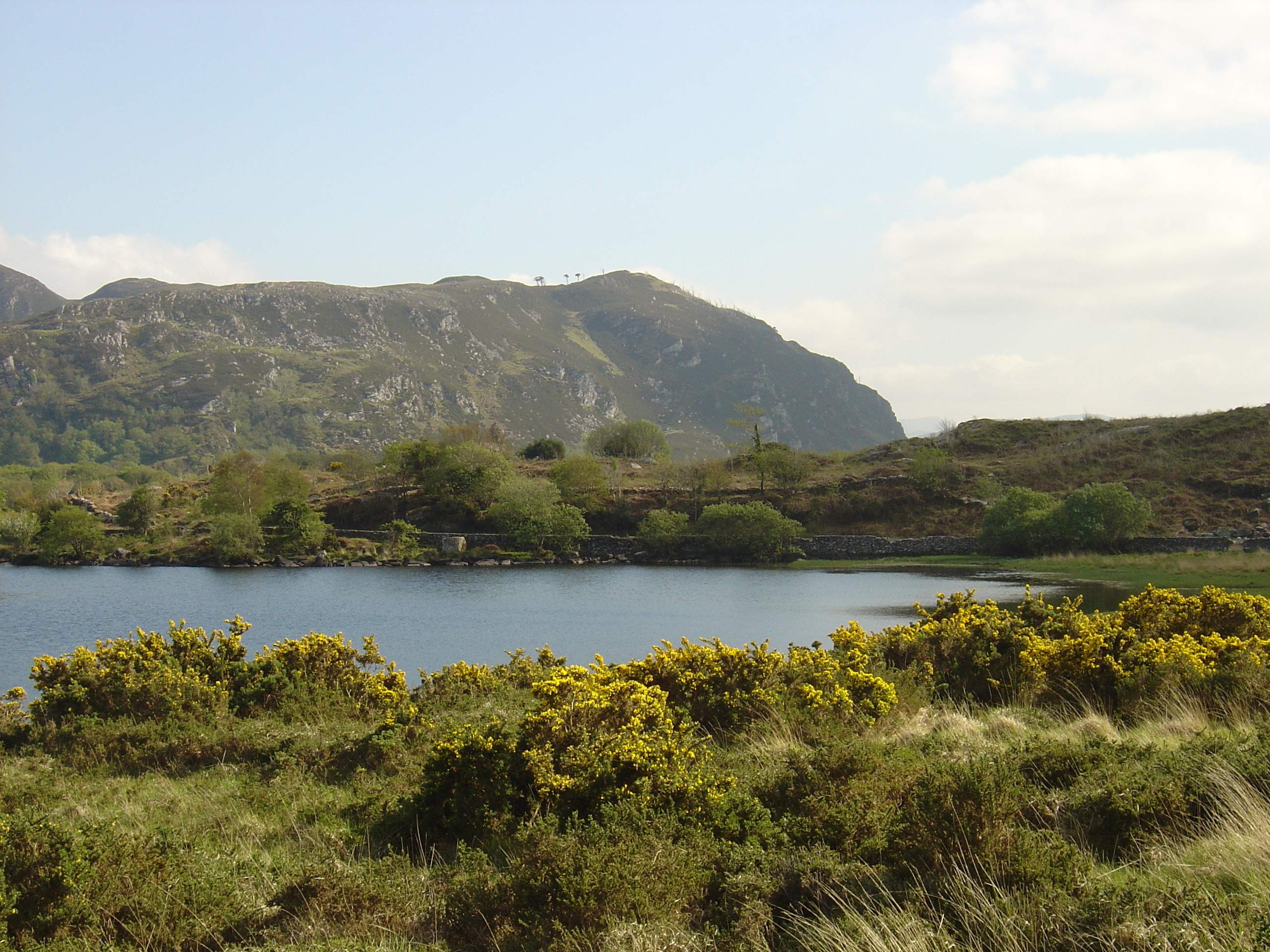 Picture Ireland Kerry Caragh Lake 2004-05 2 - Discovery Caragh Lake