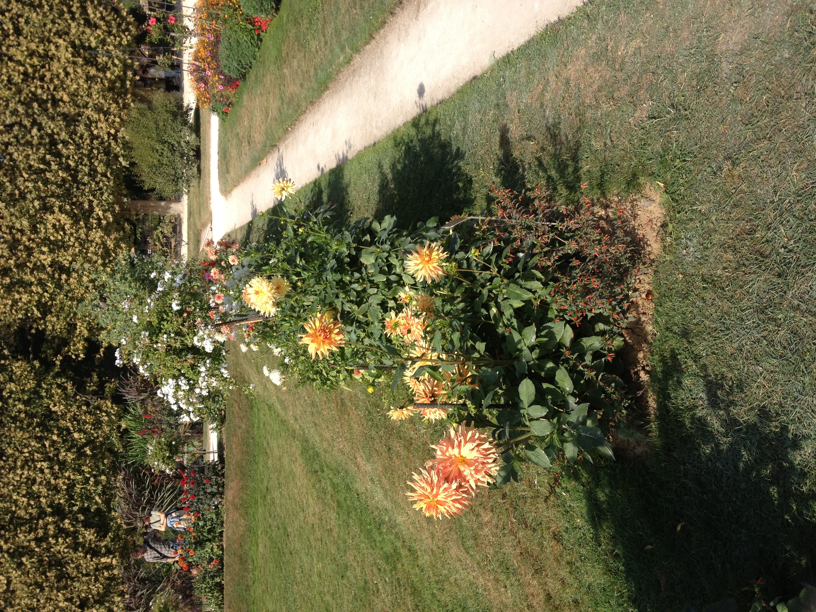 Picture France Paris Jardin des Plantes 2014-09 25 - Around Jardin des Plantes