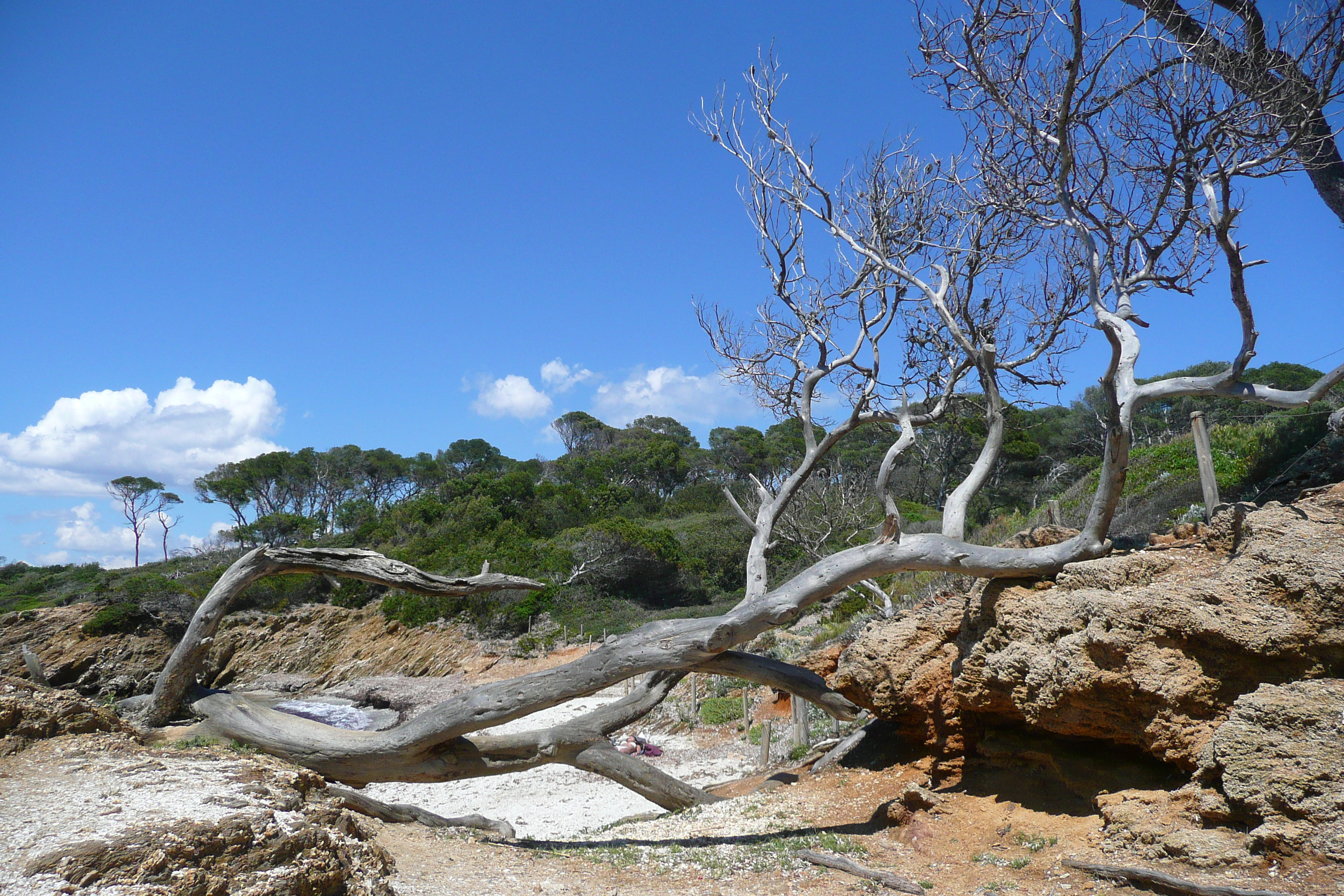 Picture France Porquerolles Island Lequin beach 2008-05 15 - History Lequin beach