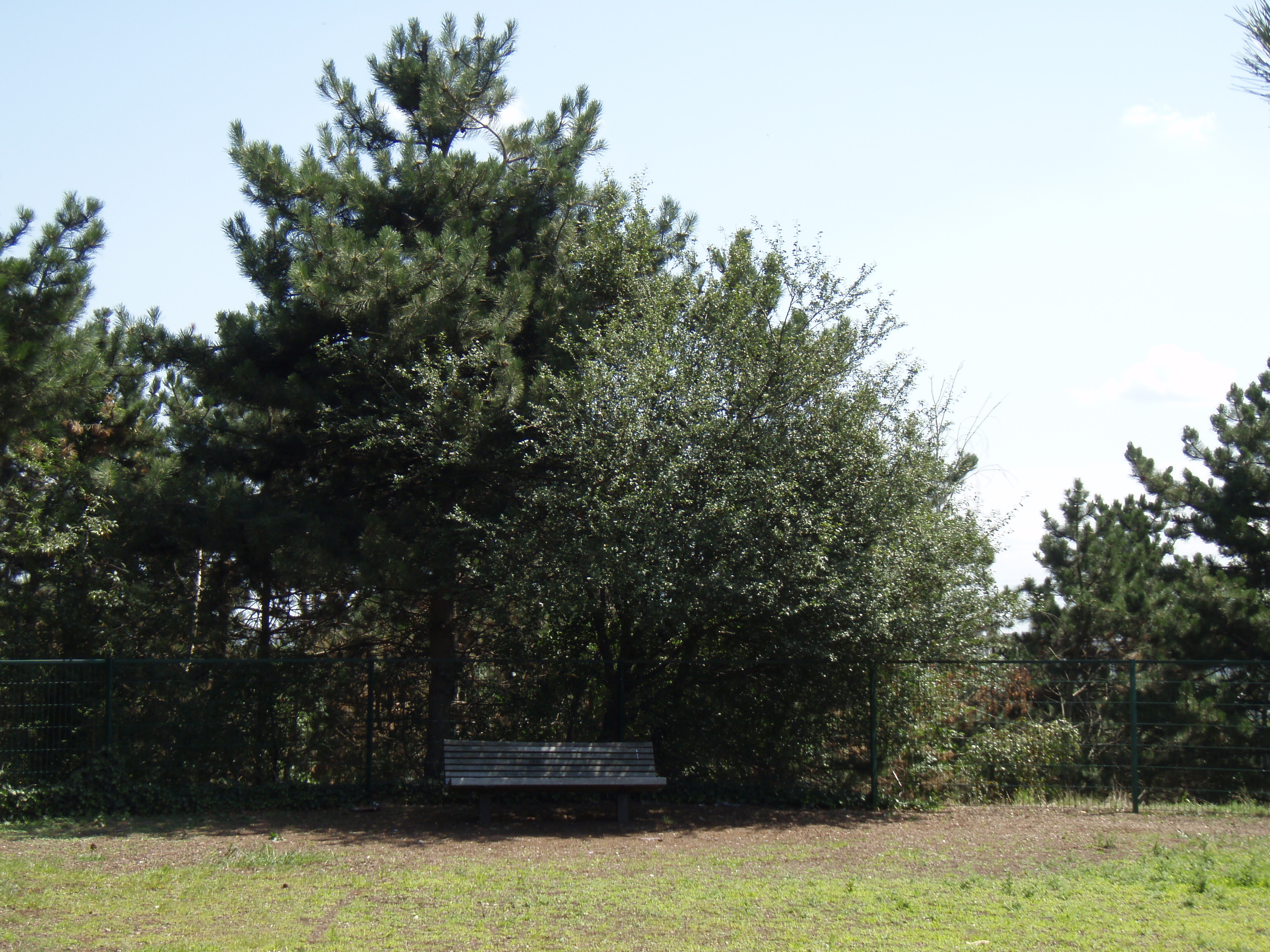 Picture France Villeneuve La Garenne Parc des Chanteraines 2007-07 47 - Tour Parc des Chanteraines