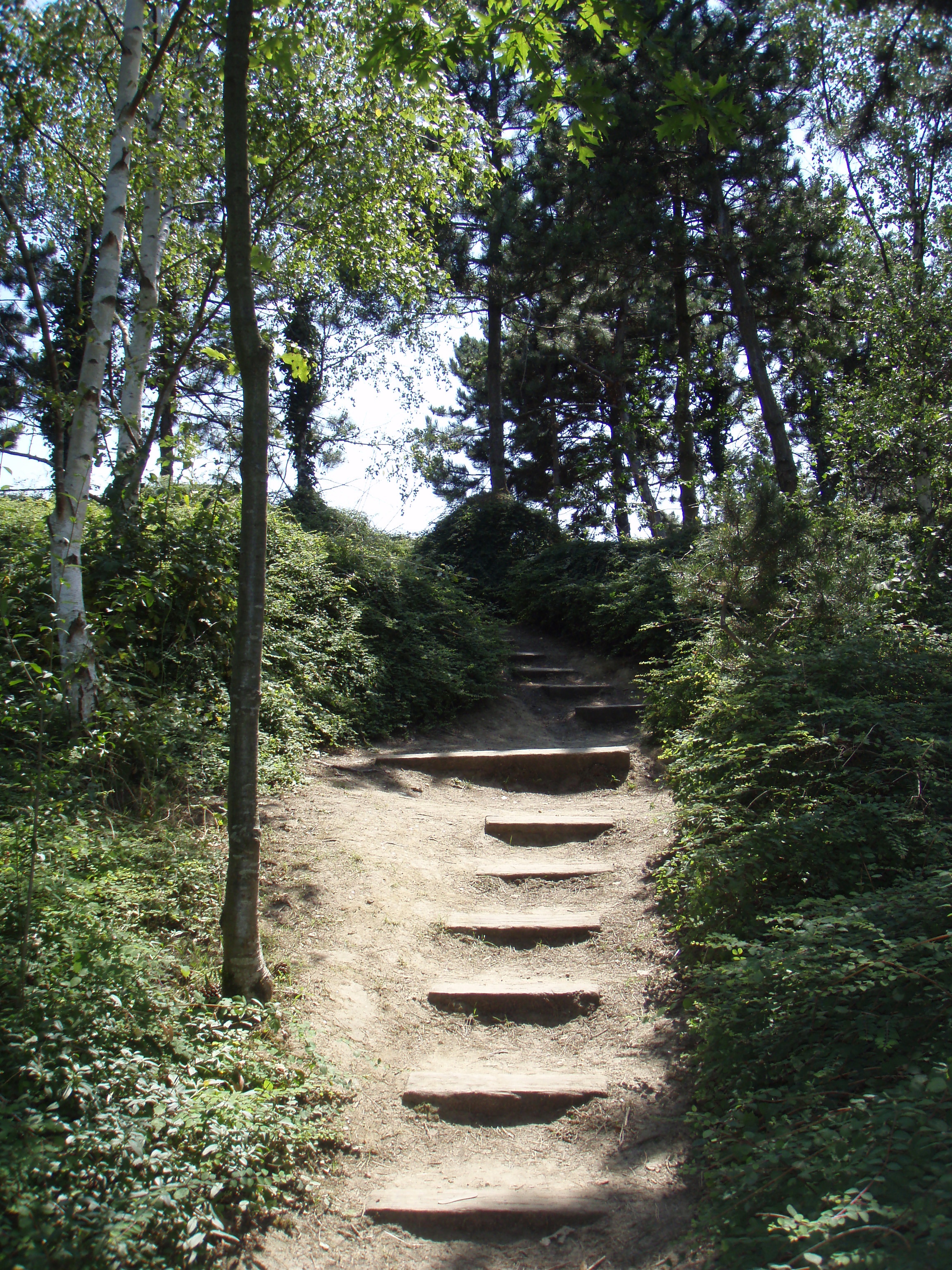 Picture France Villeneuve La Garenne Parc des Chanteraines 2007-07 49 - Tour Parc des Chanteraines