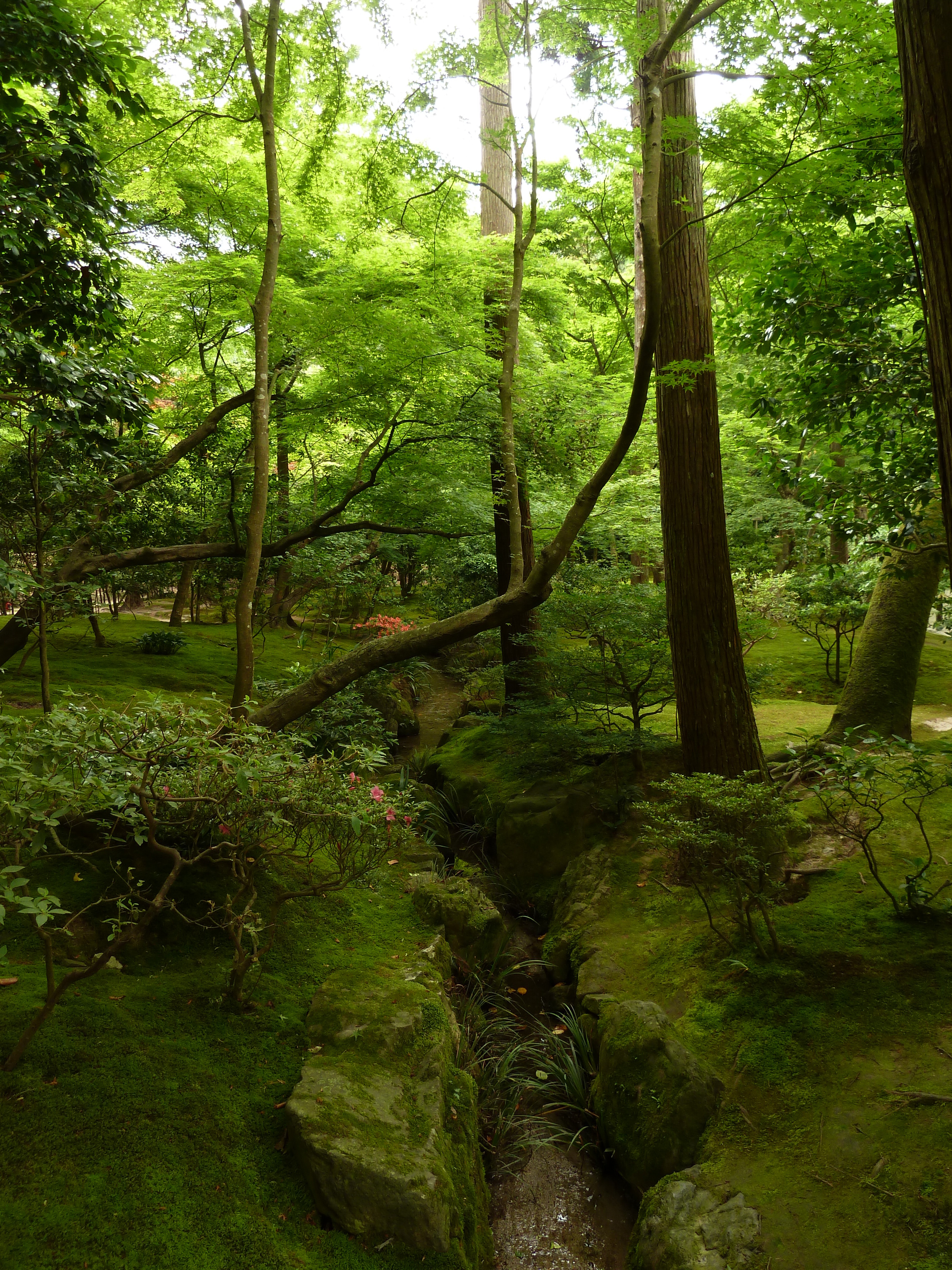 Picture Japan Kyoto Ginkakuji Temple(Silver Pavilion) 2010-06 74 - History Ginkakuji Temple(Silver Pavilion)