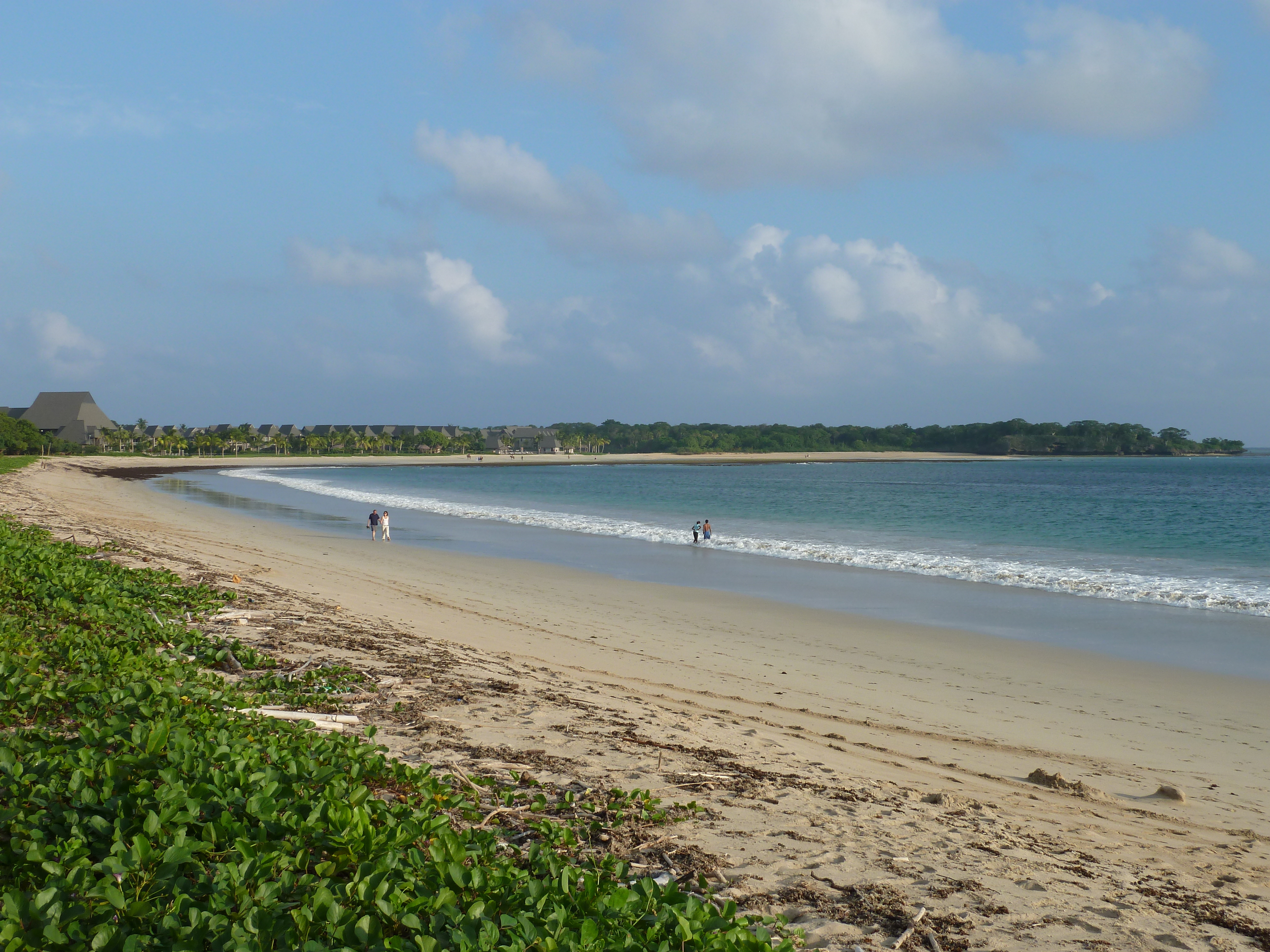 Picture Fiji Natadola beach 2010-05 67 - Tour Natadola beach