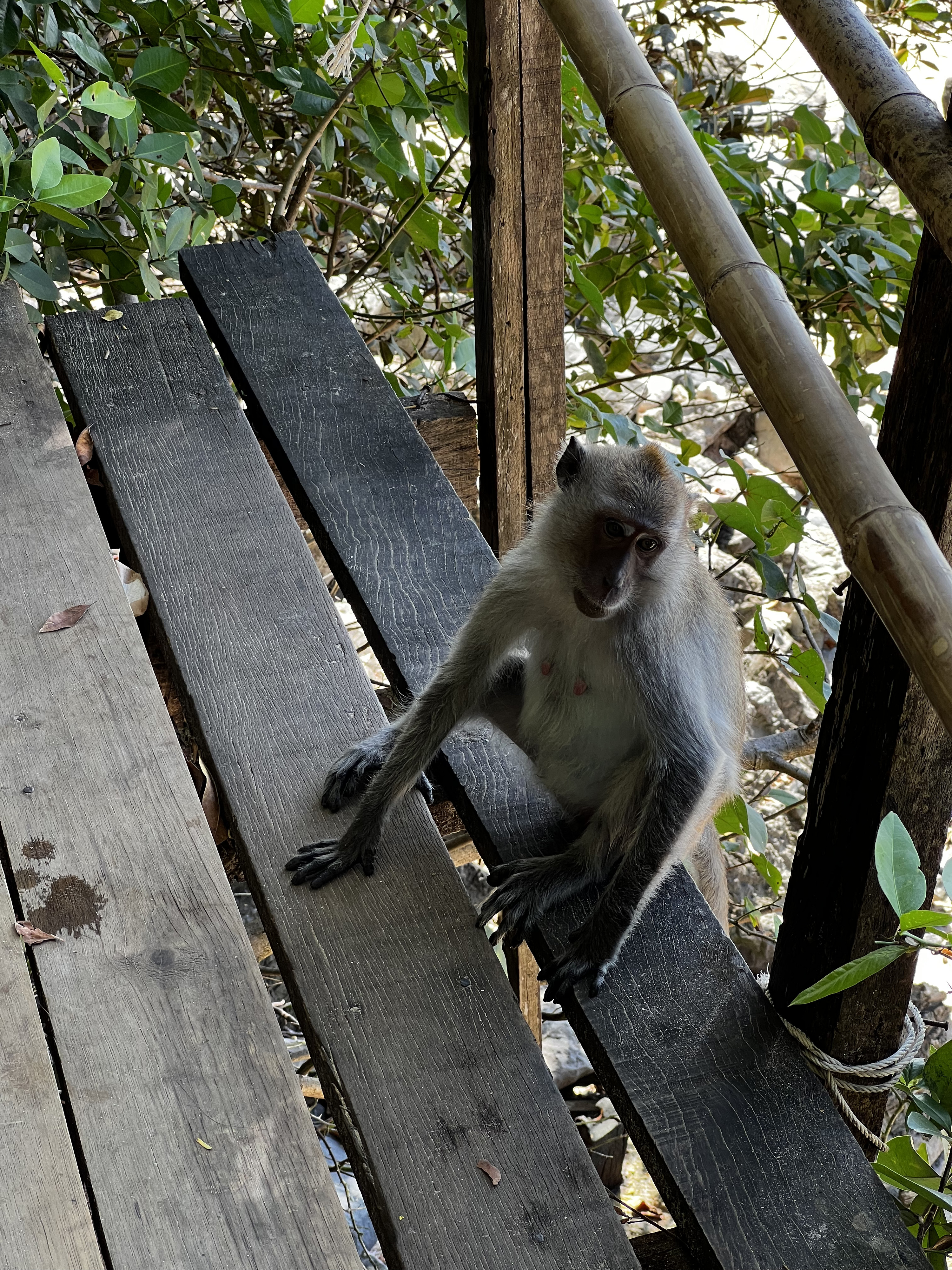 Picture Thailand Krabi Ao Nang 2023-01 97 - Tour Ao Nang