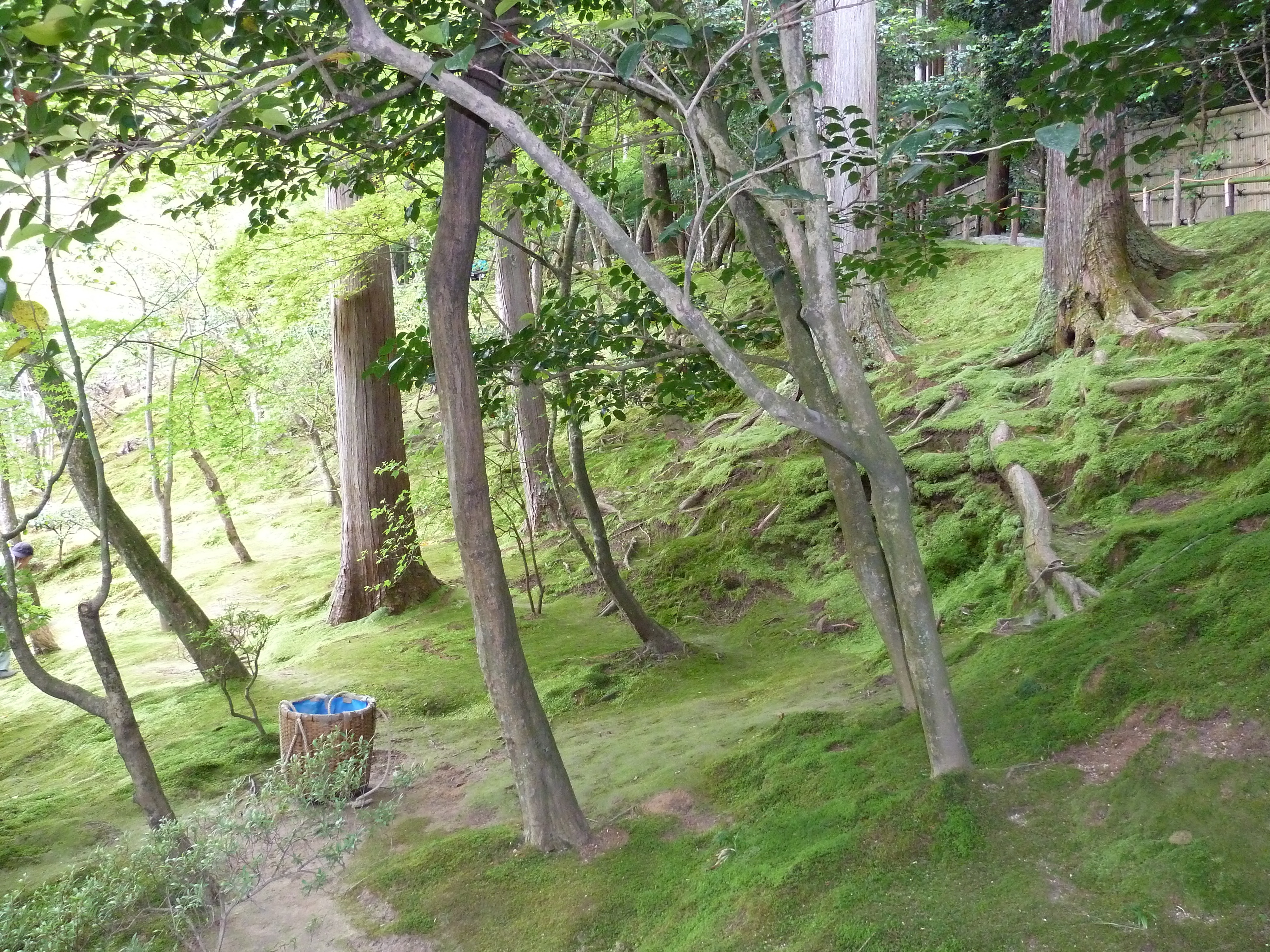 Picture Japan Kyoto Ginkakuji Temple(Silver Pavilion) 2010-06 68 - Around Ginkakuji Temple(Silver Pavilion)