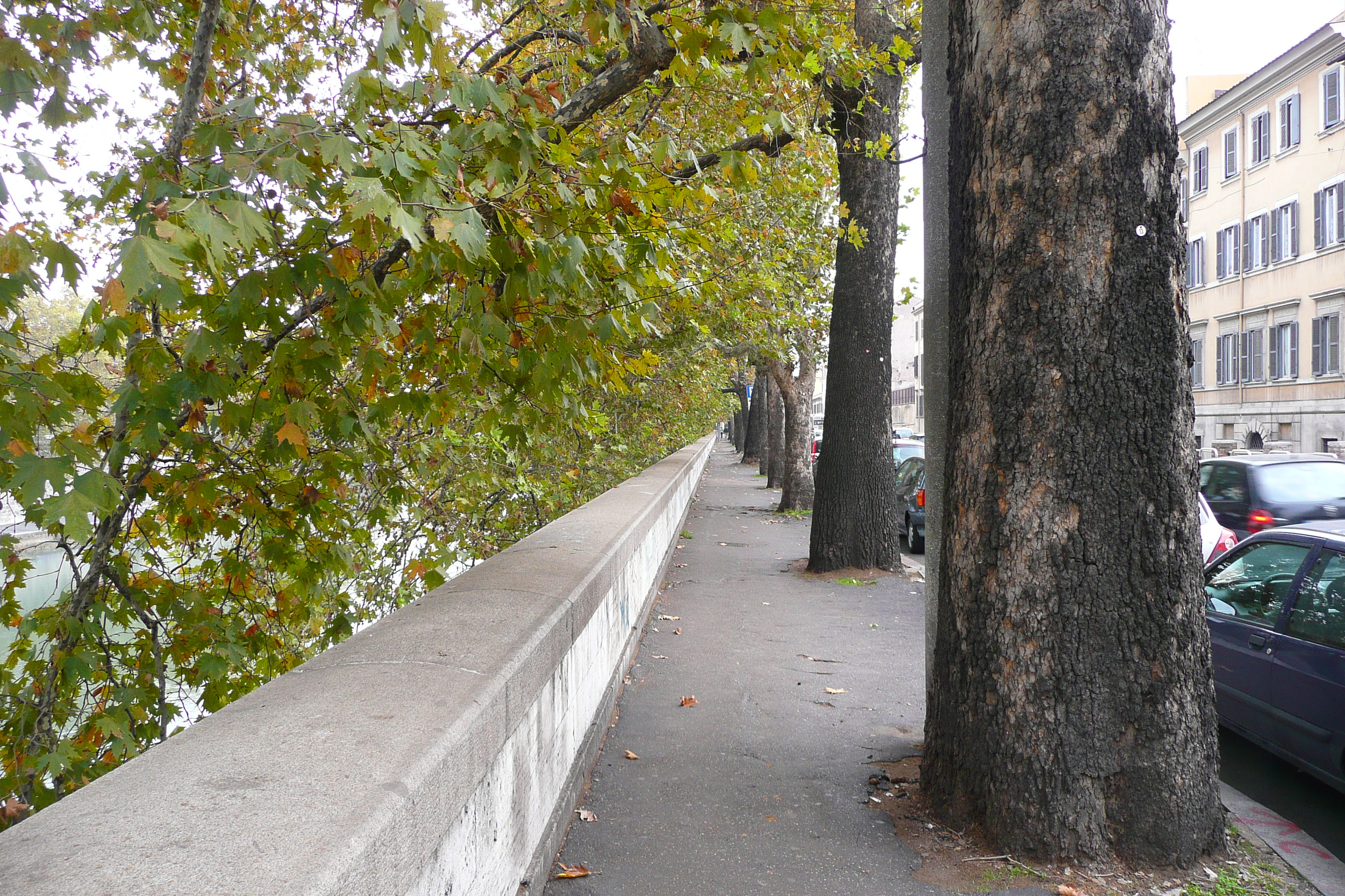 Picture Italy Rome Lungotevere Gianicolense 2007-11 26 - History Lungotevere Gianicolense