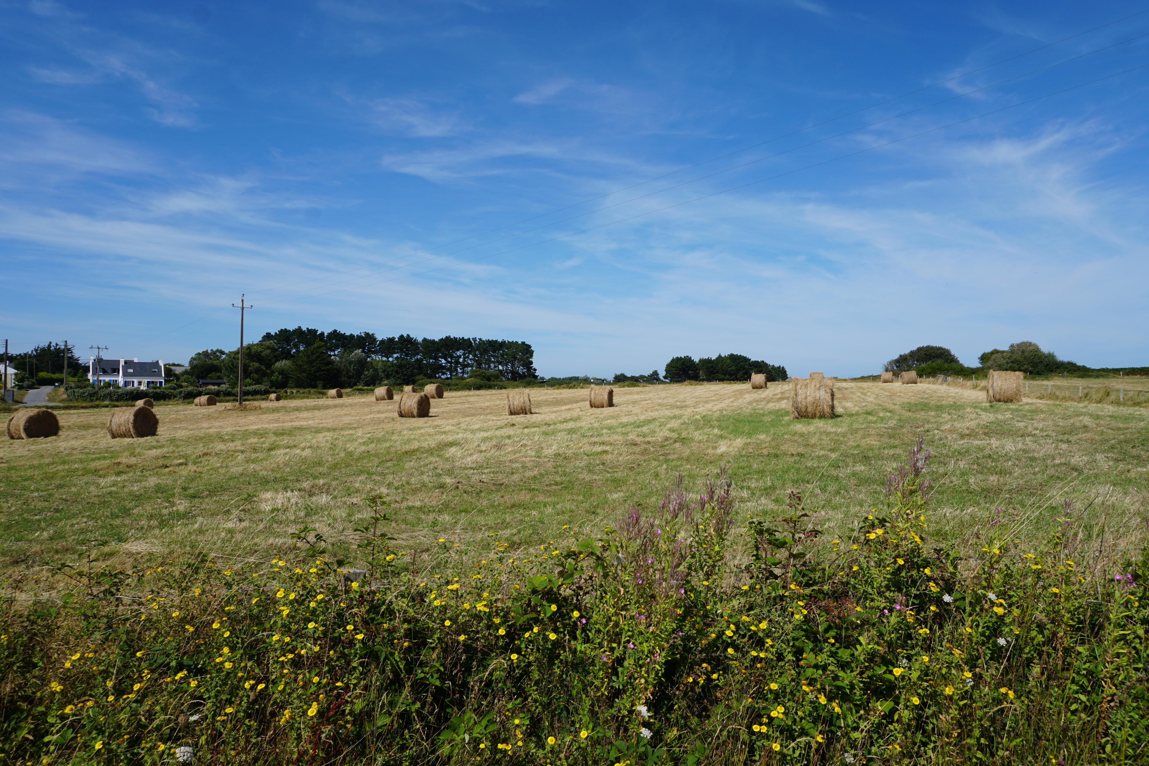 Picture France Belle-Ile 2016-08 237 - Around Belle-Ile