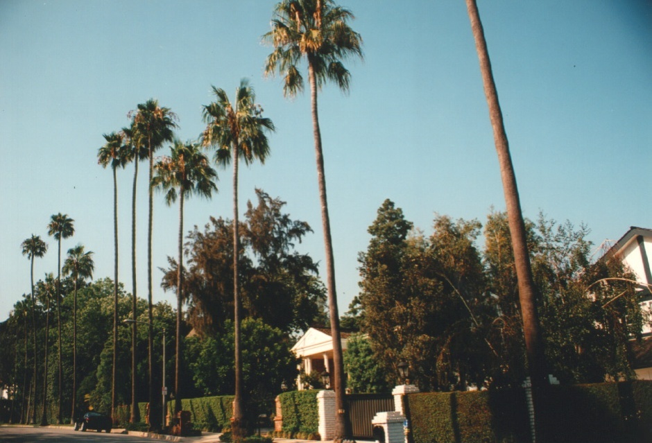 Picture United States Beverly Hill 1992-08 10 - Discovery Beverly Hill